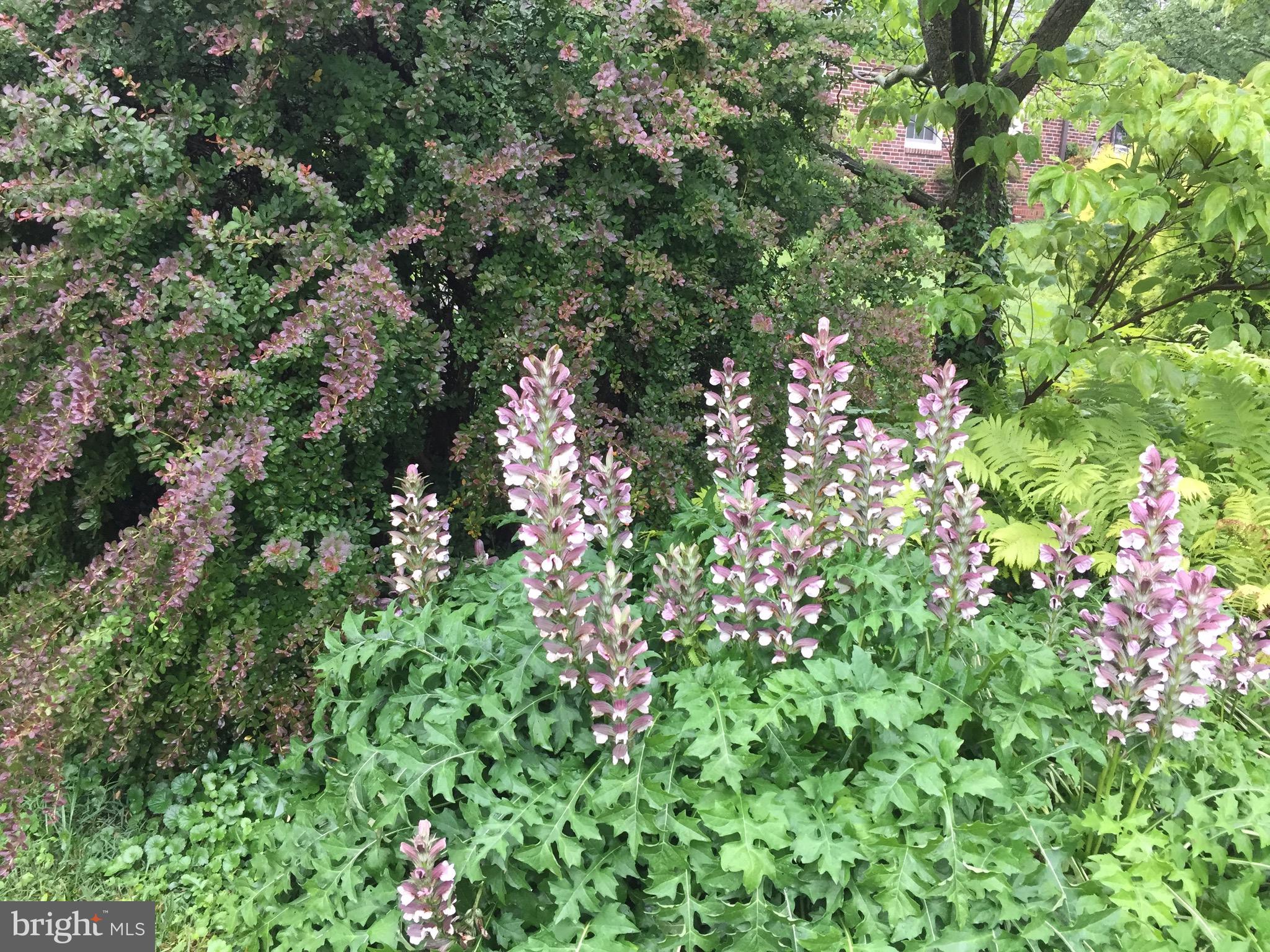 WILTONDALE - Residential