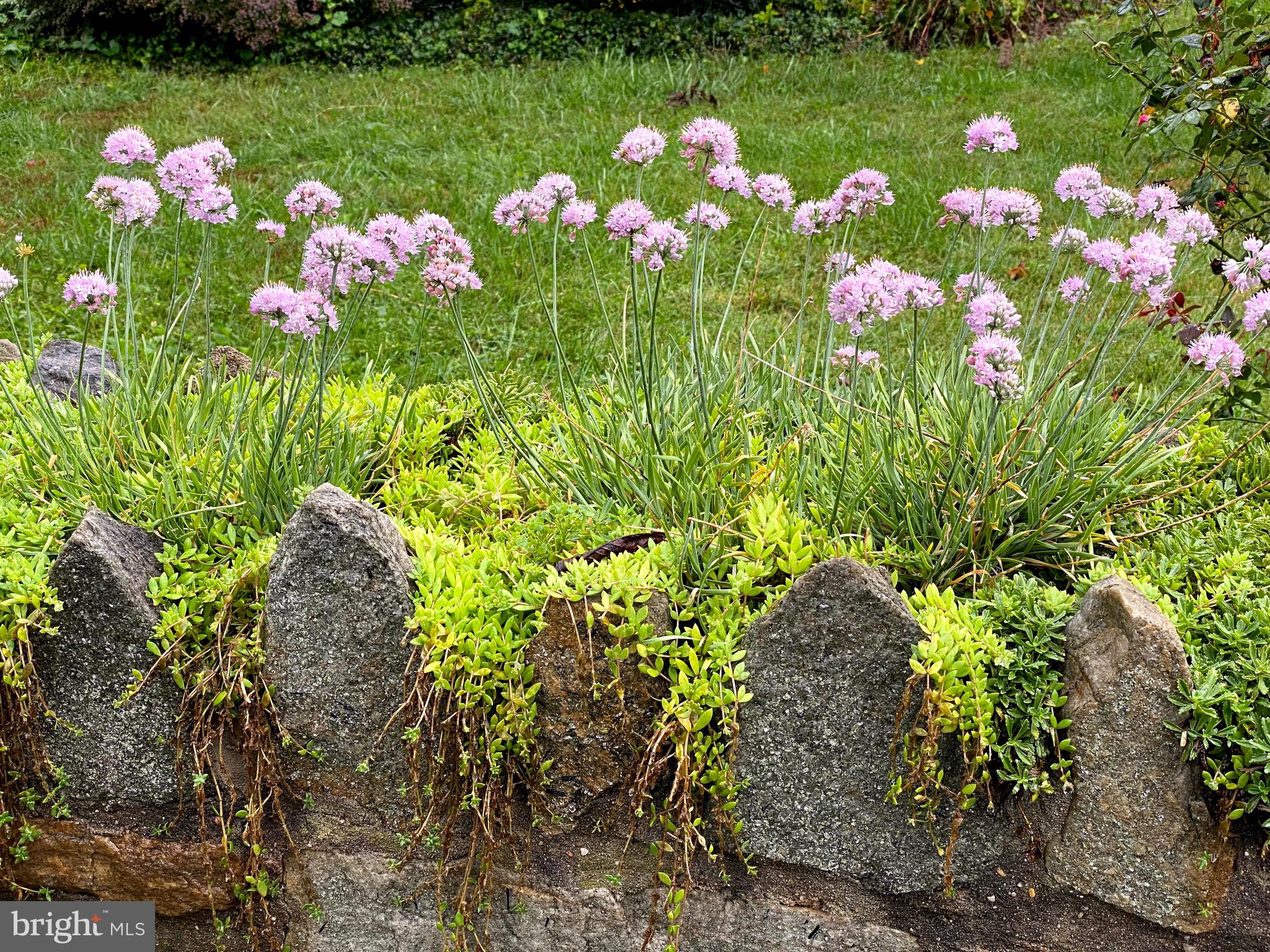 WILTONDALE - Residential