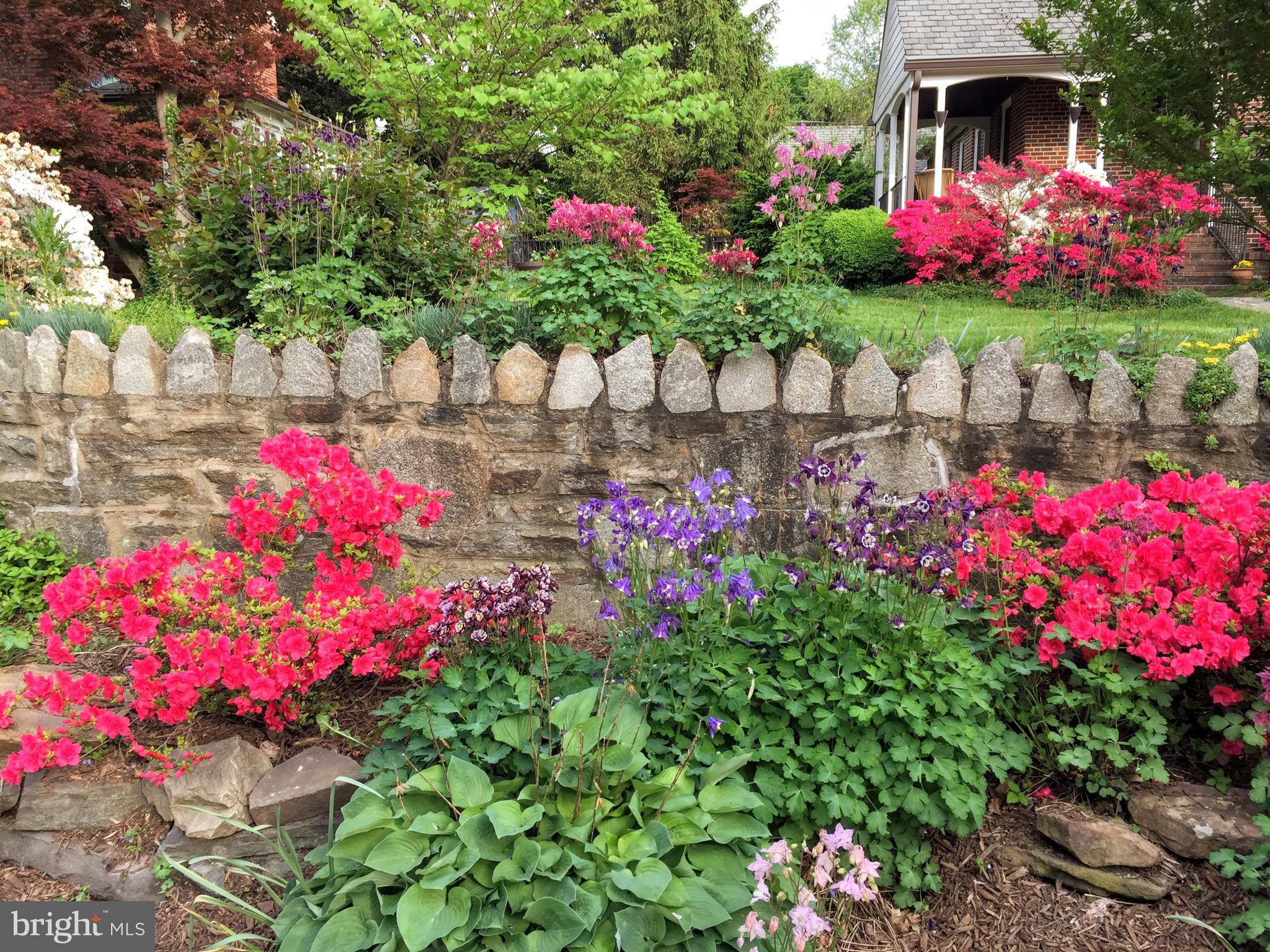 WILTONDALE - Residential