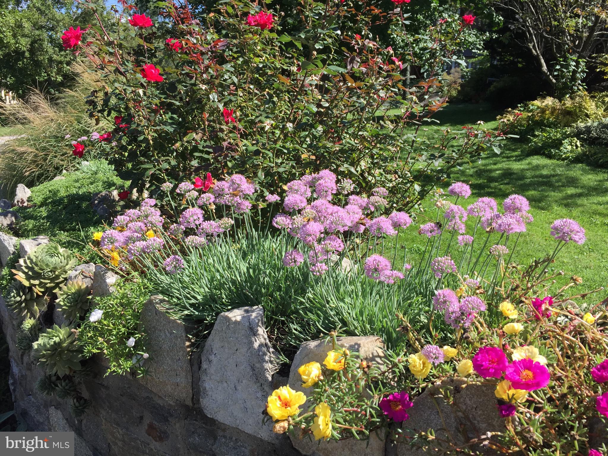 WILTONDALE - Residential