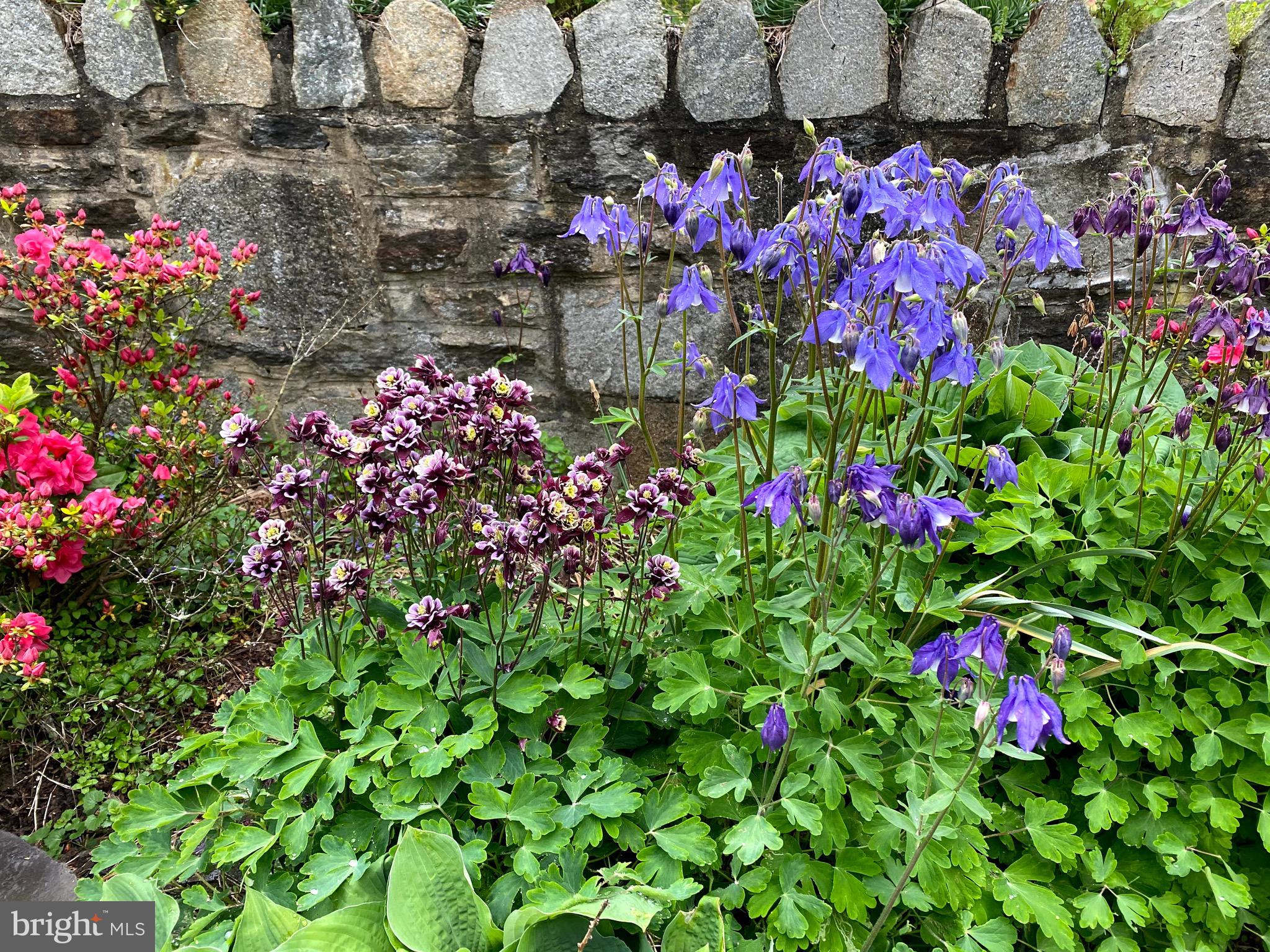 WILTONDALE - Residential