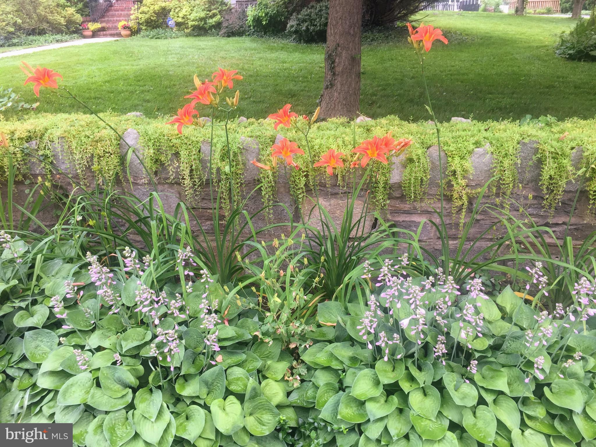 WILTONDALE - Residential