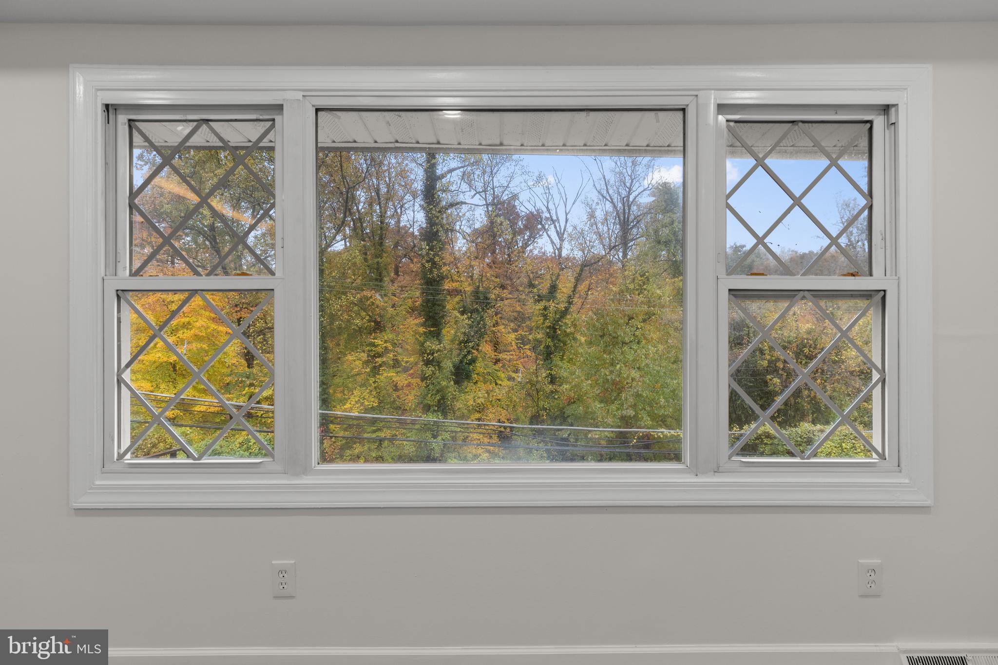 WINDSOR TERRACE - Residential
