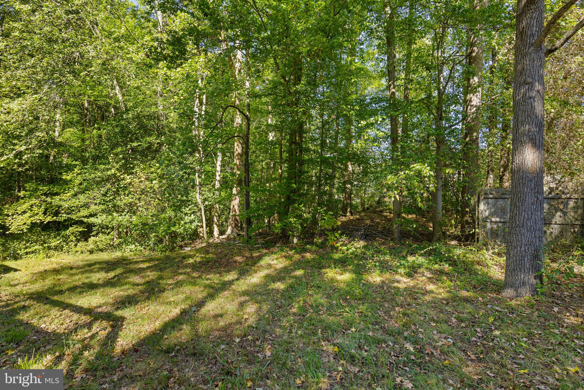 GRAFTON VILLAGE - Residential