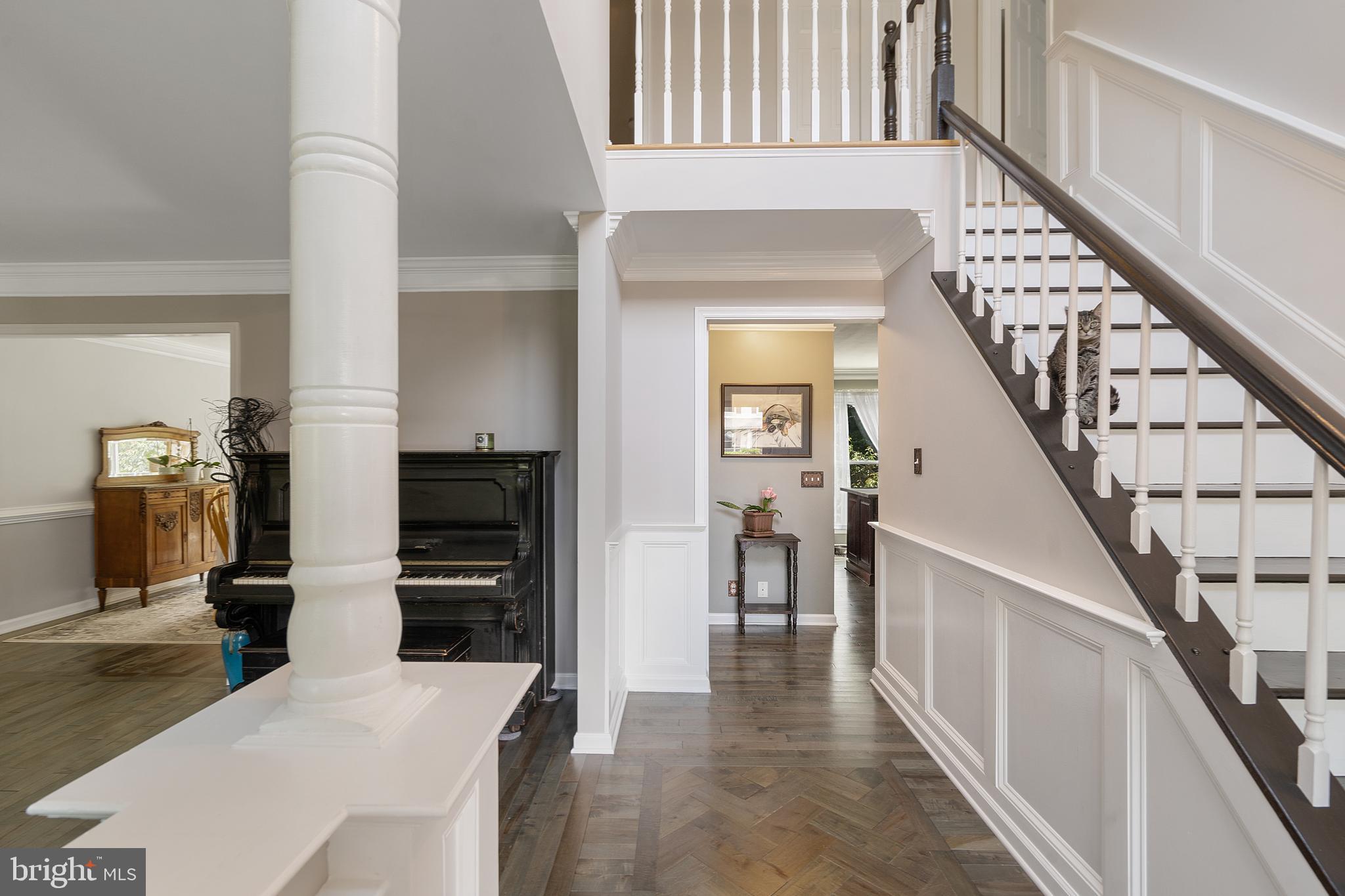 GREAT FALLS FOREST - Residential