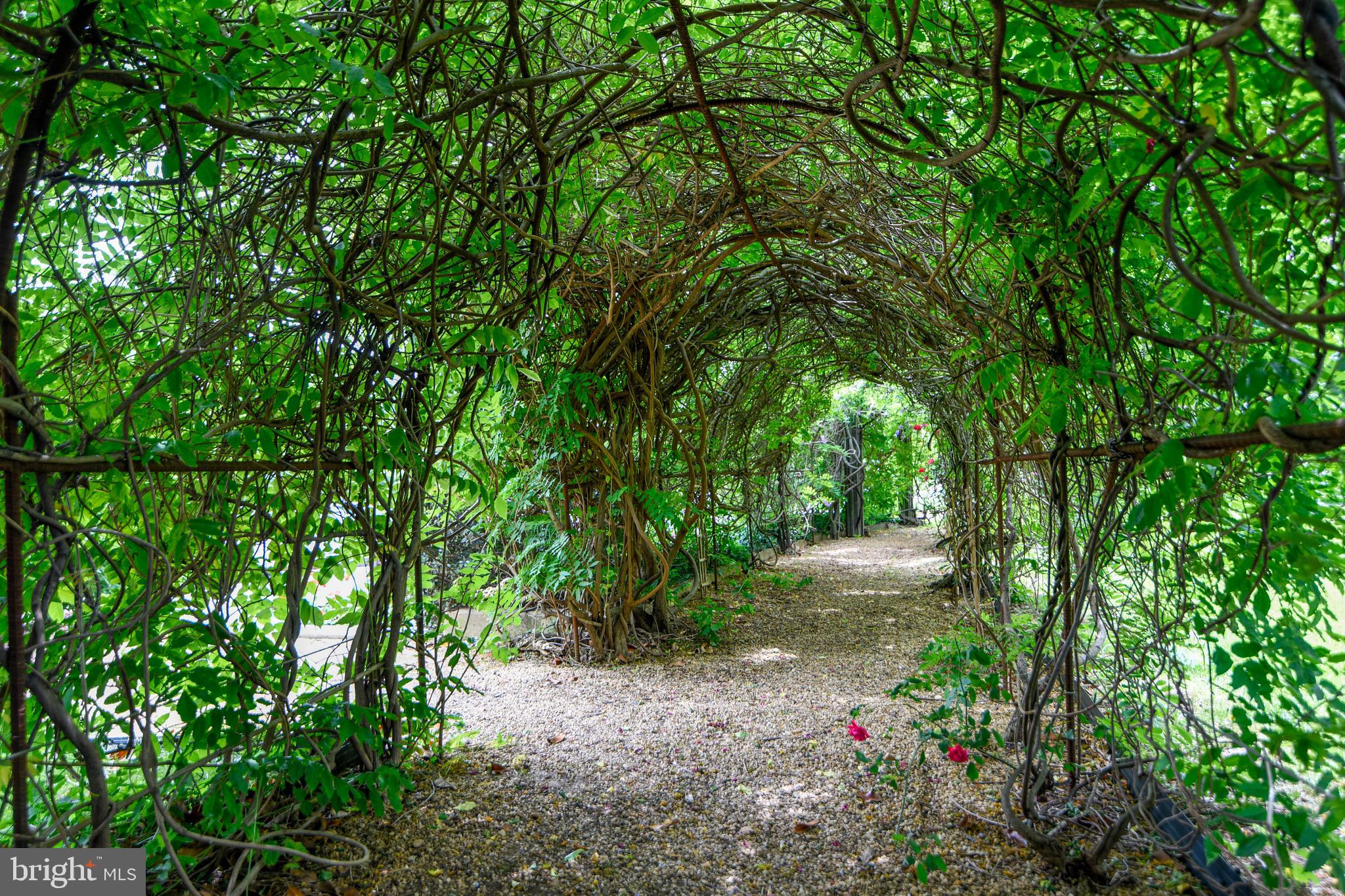 ROTONDA - Residential