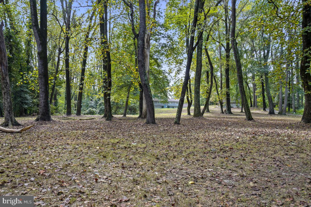 BYWATER ESTATES - Residential