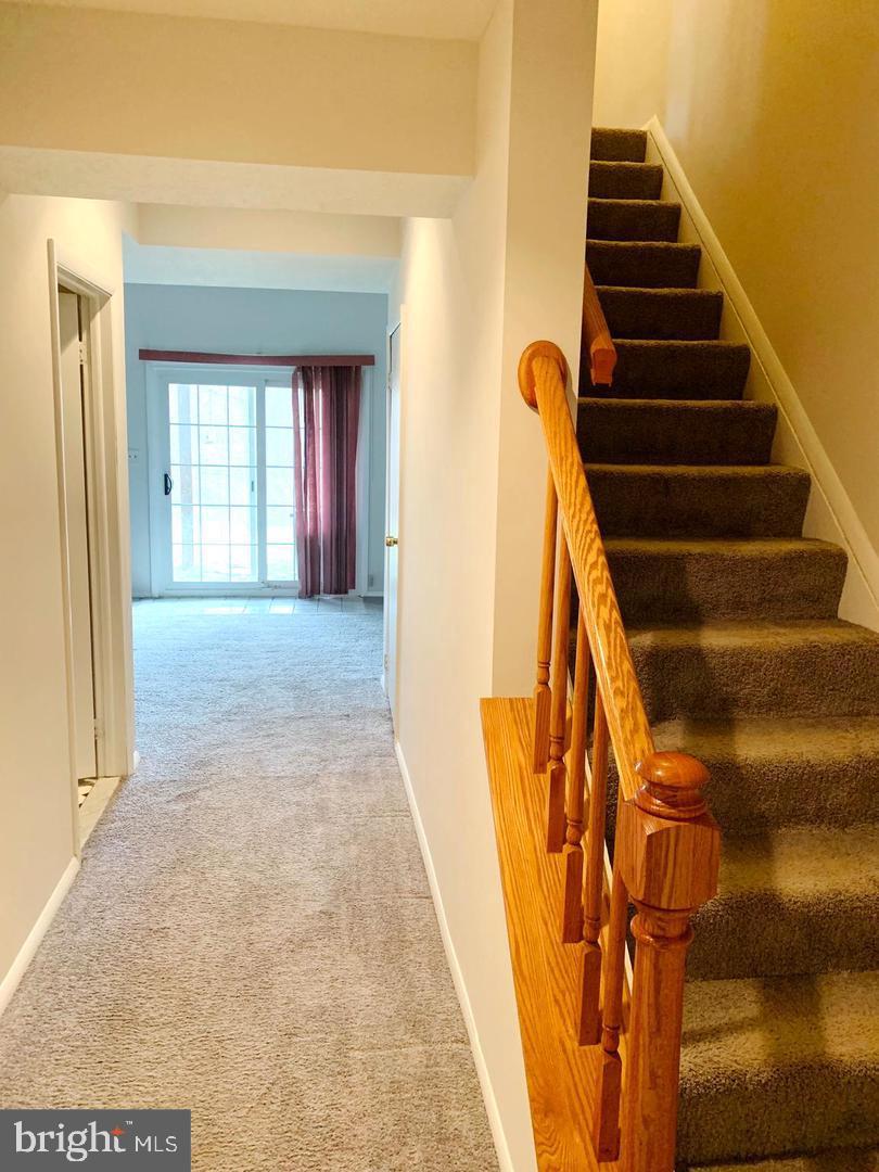 PATAPSCO FALLS - Residential Lease