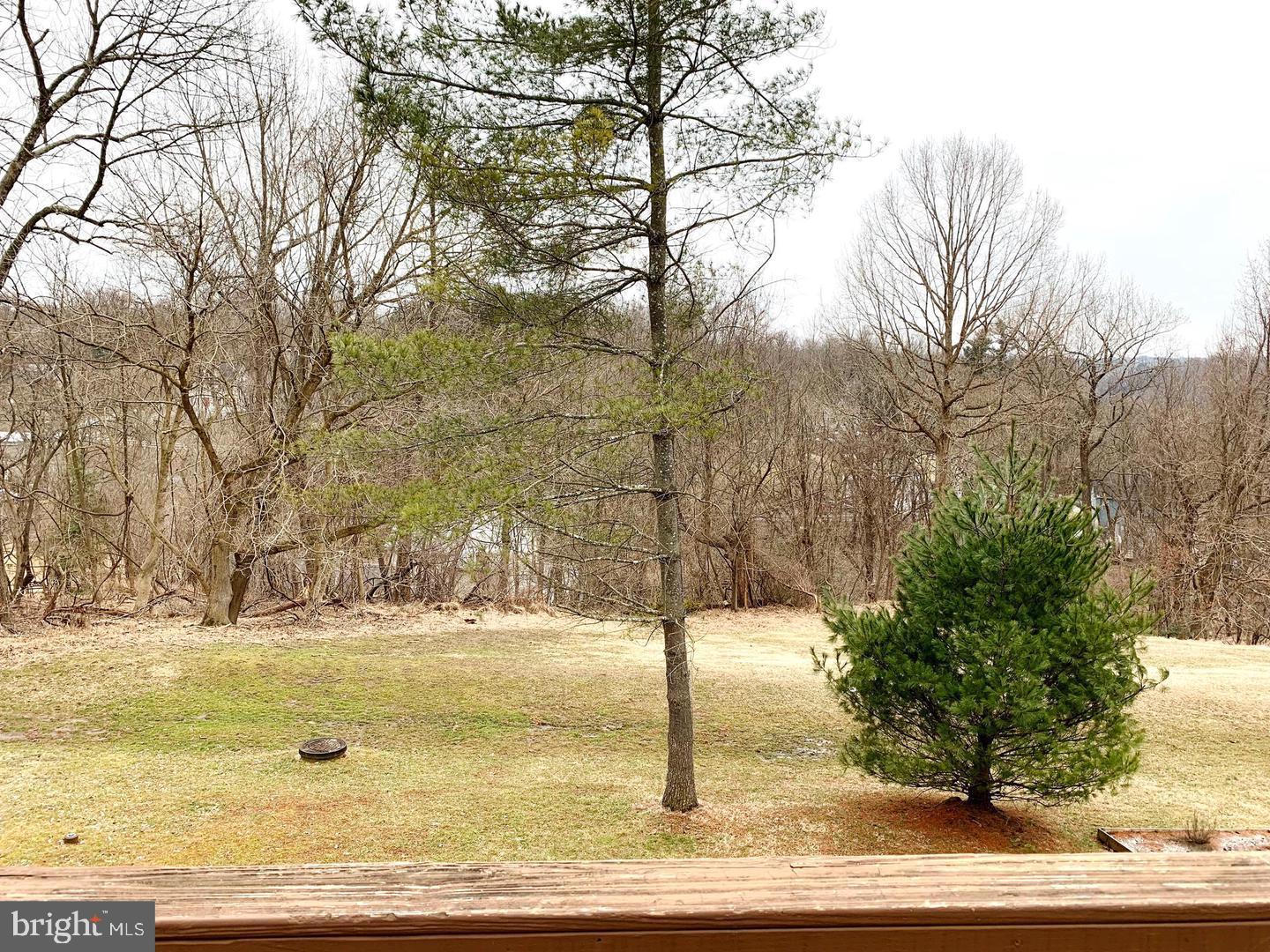 PATAPSCO FALLS - Residential Lease