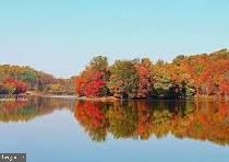 PARK OVERLOOK - Residential Lease