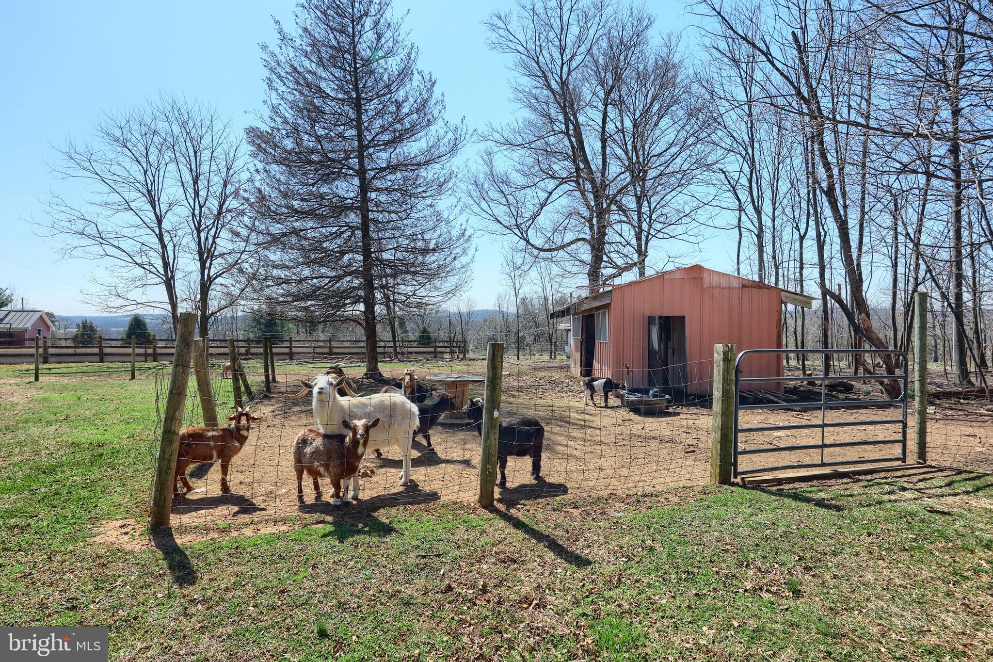FELTON/BROUGEVILLE - Residential