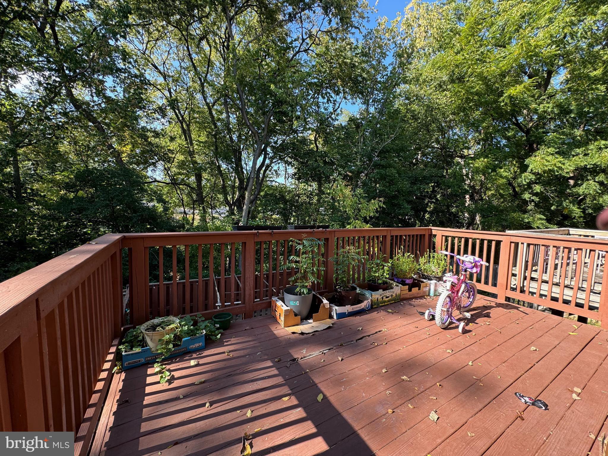 PROSPECT VIEW - Residential Lease