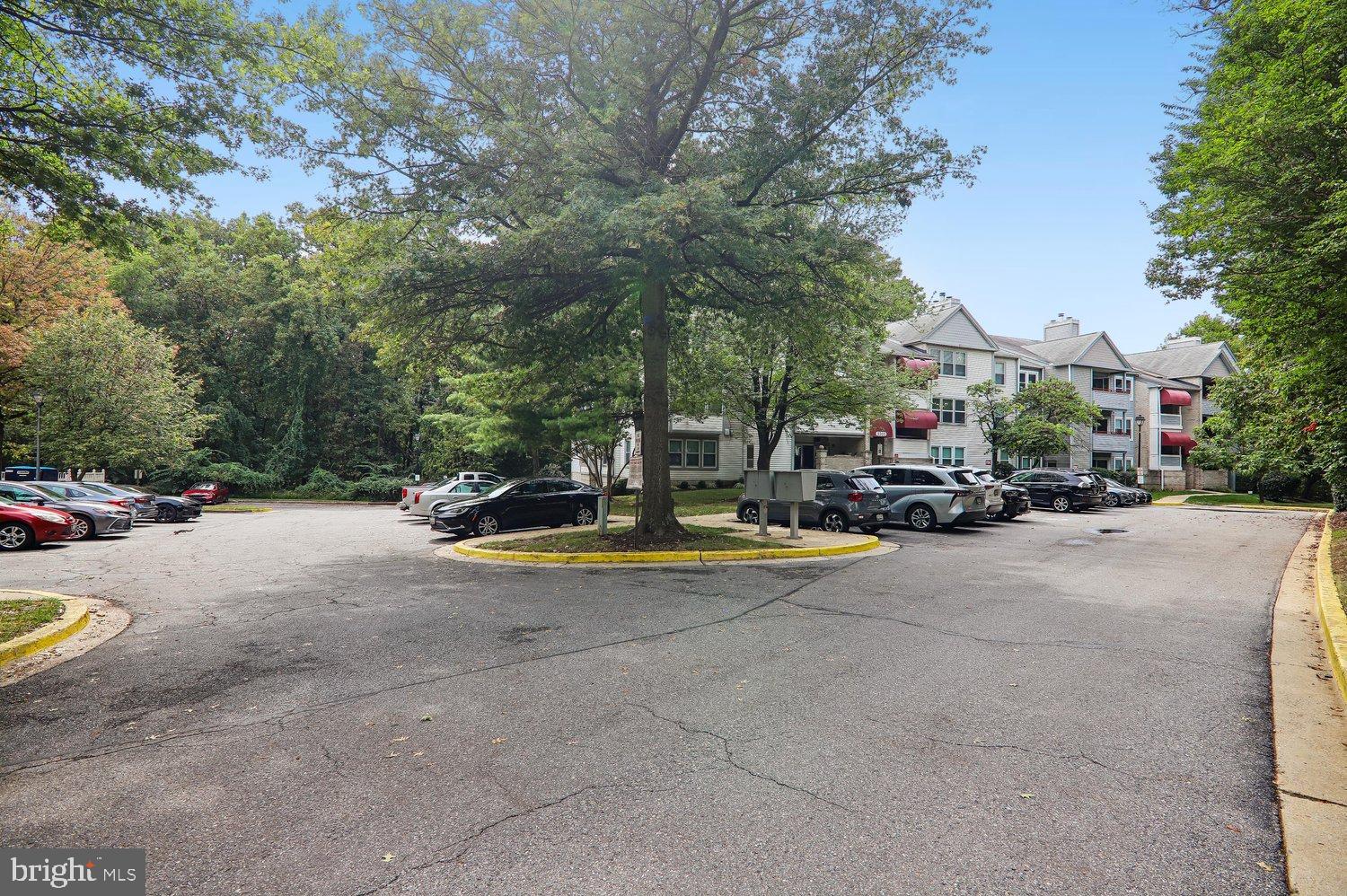 3303 SIR THOMAS DRIVE 6-A-41