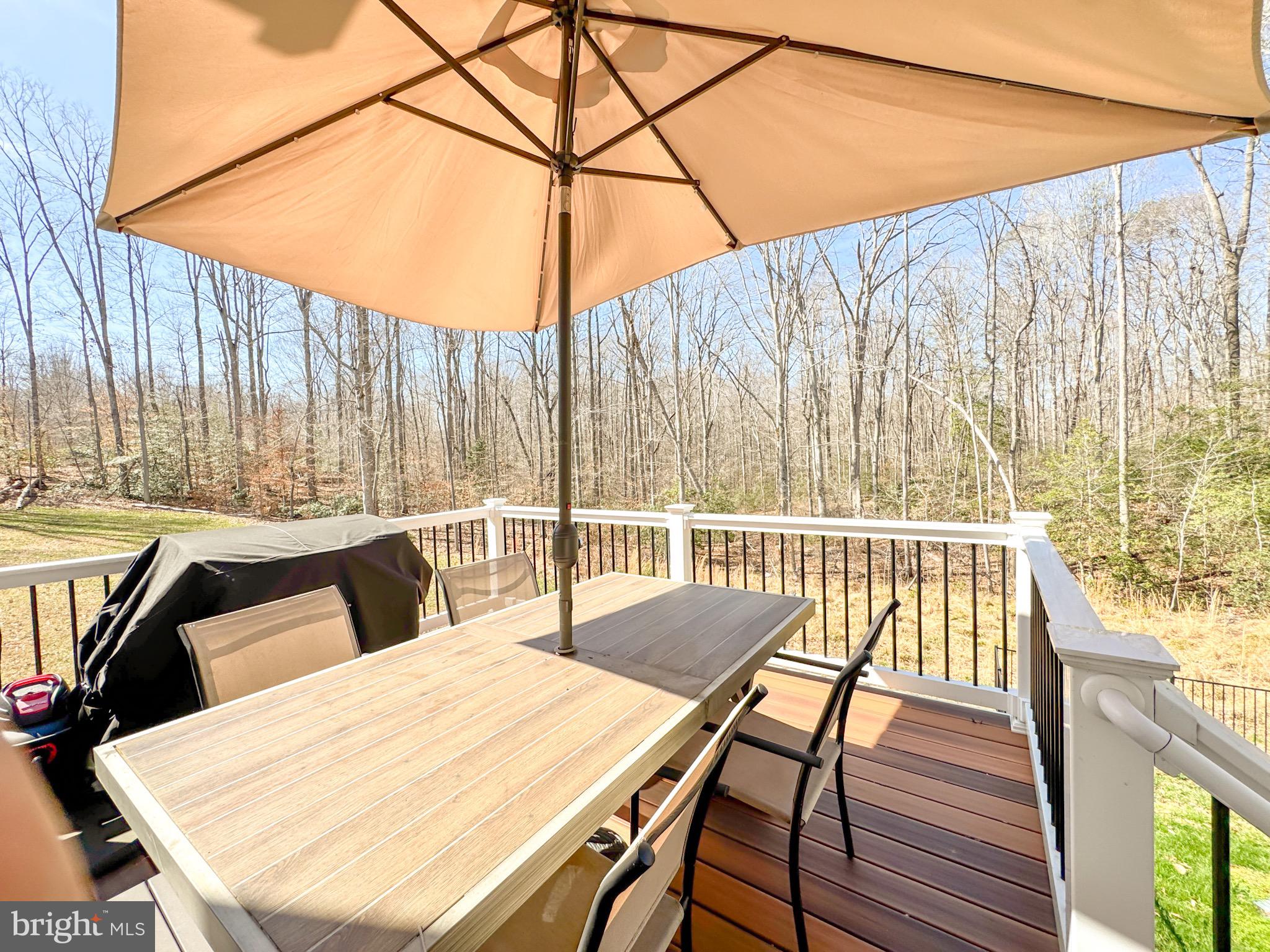 RAPIDAN RETREAT - Residential