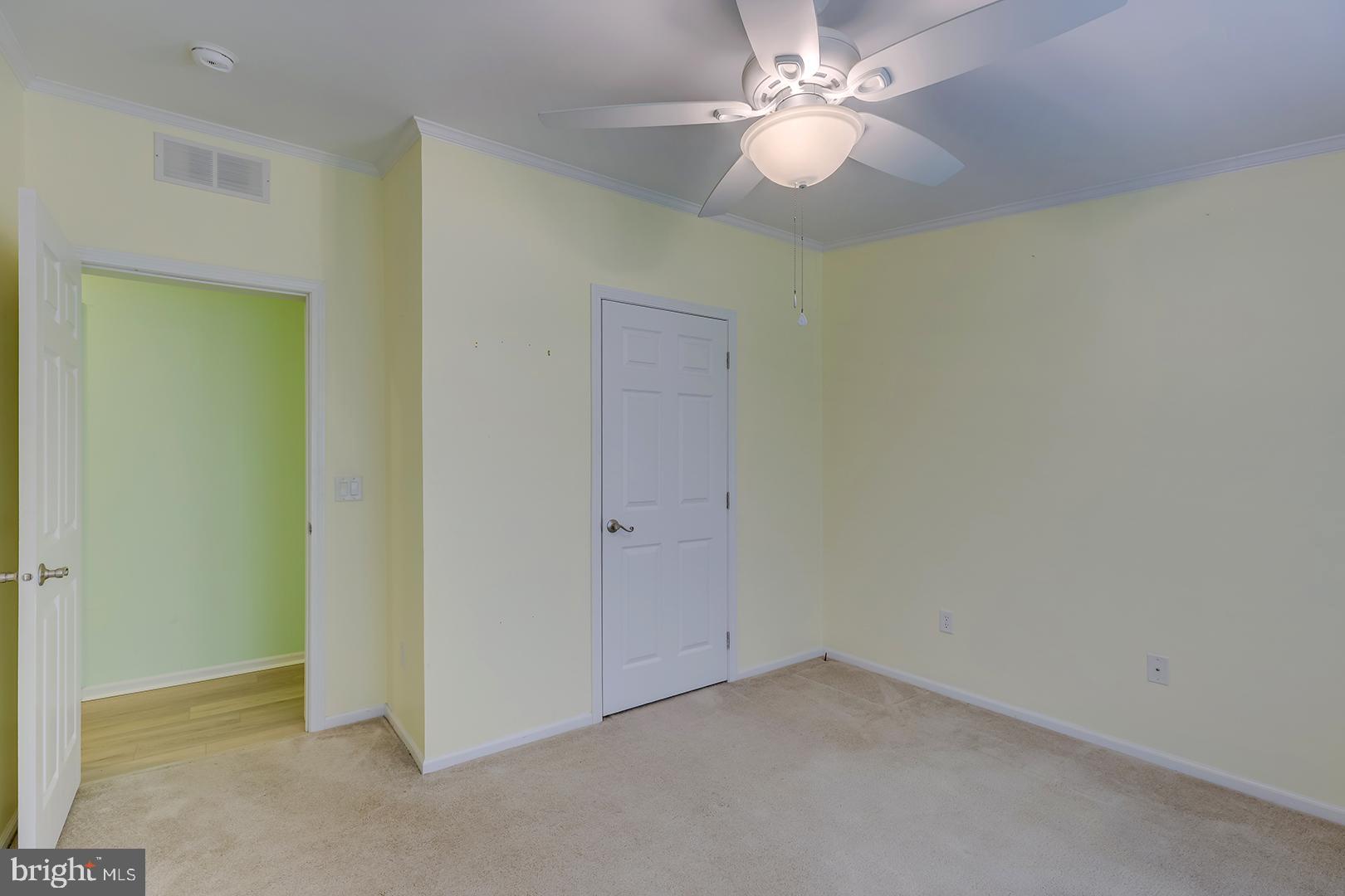 CAVE COLONY - Residential