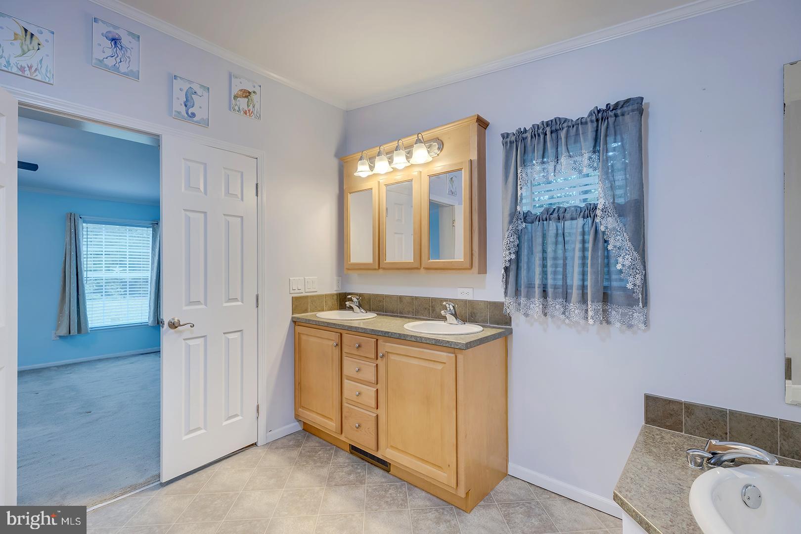 CAVE COLONY - Residential