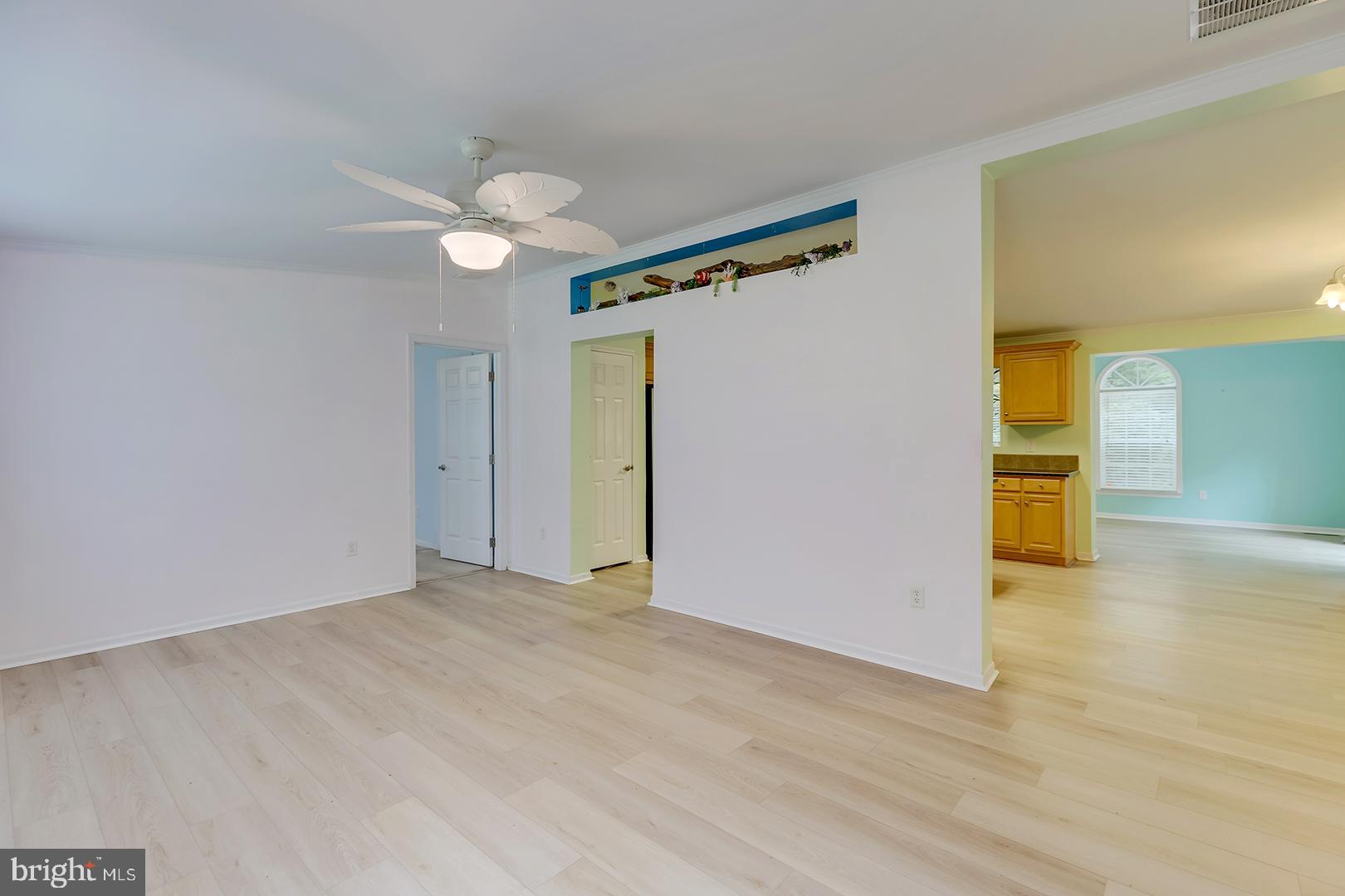 CAVE COLONY - Residential