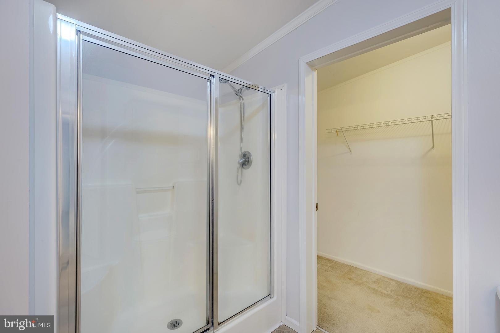 CAVE COLONY - Residential