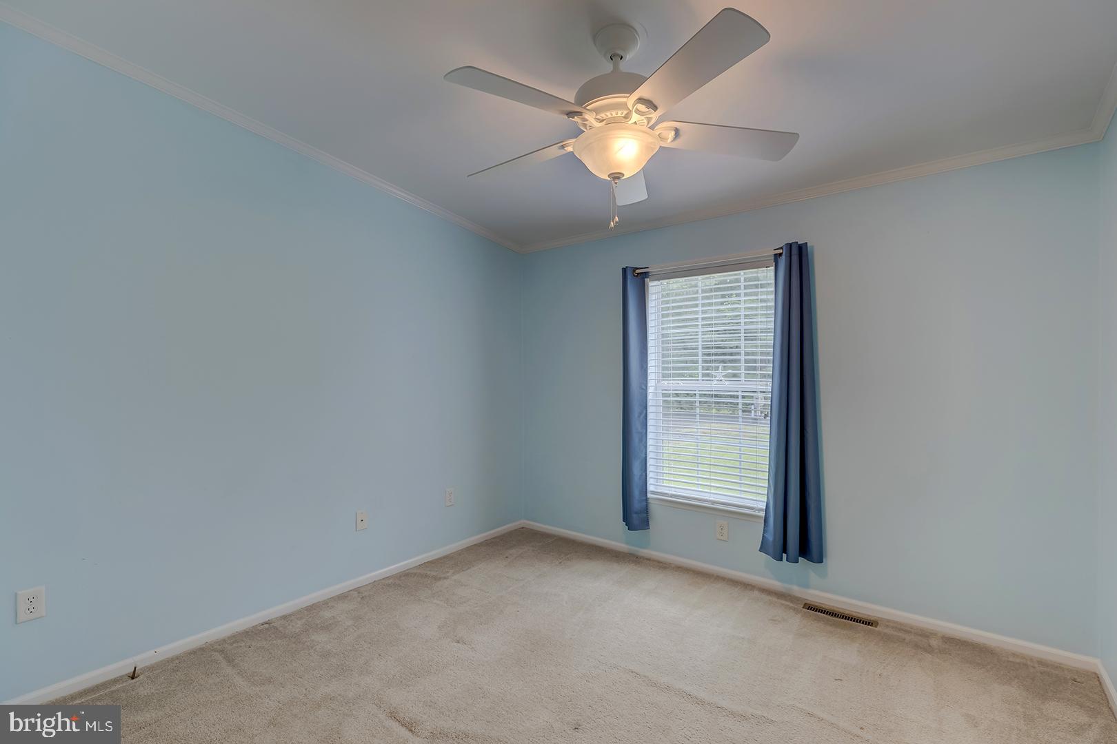 CAVE COLONY - Residential