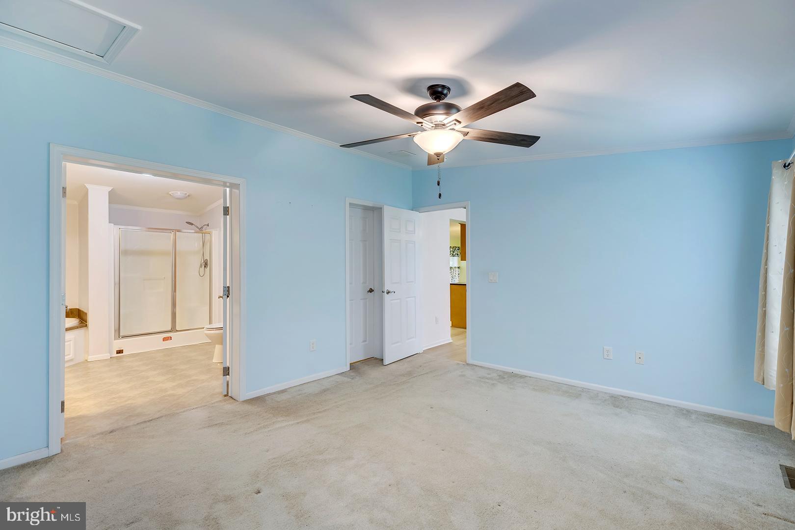 CAVE COLONY - Residential