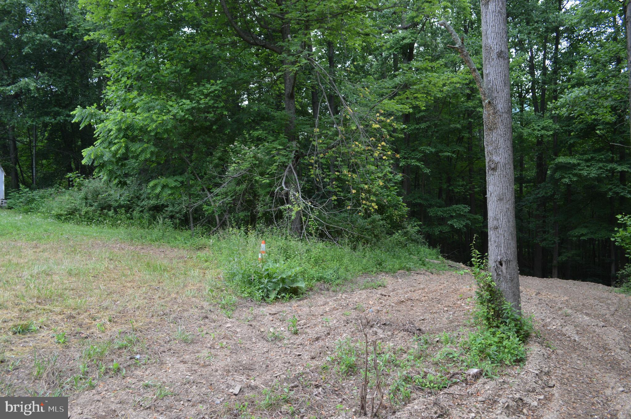 NONE AVAILABLE - Land