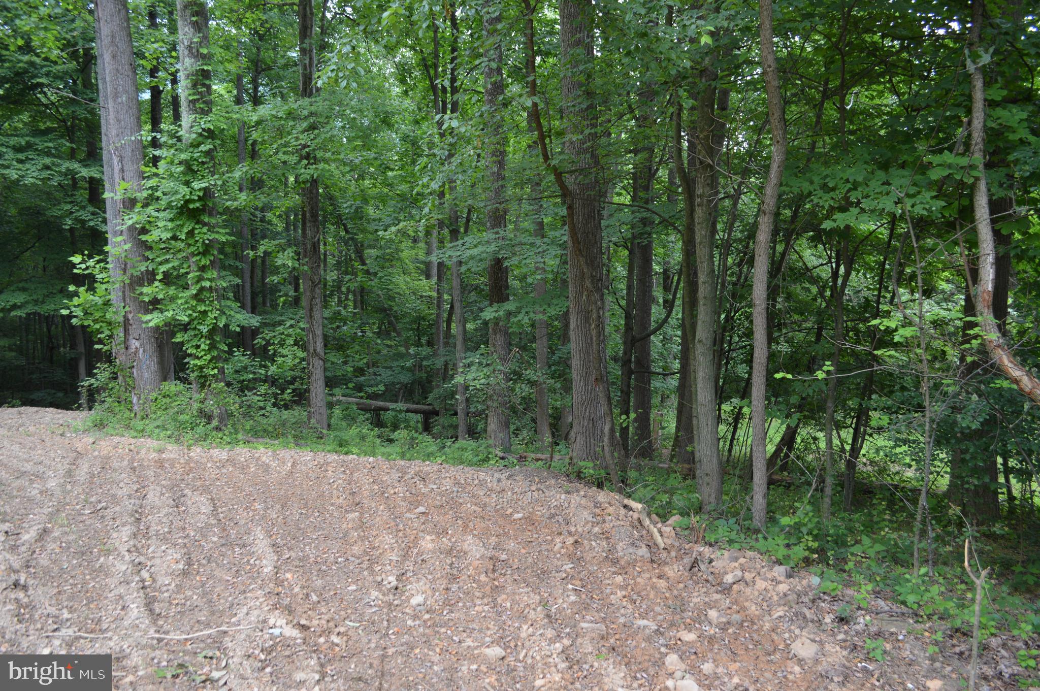 NONE AVAILABLE - Land