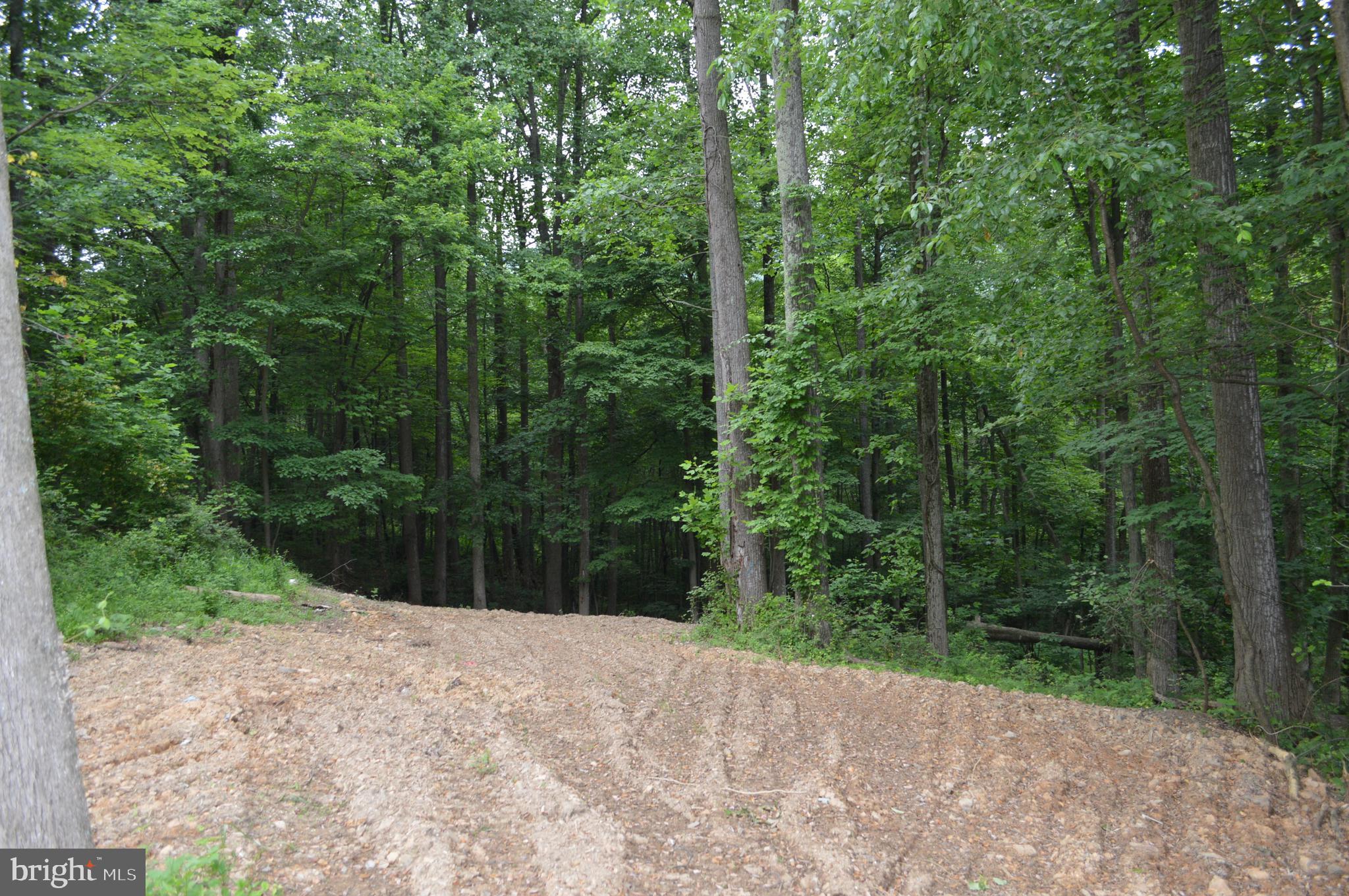 NONE AVAILABLE - Land