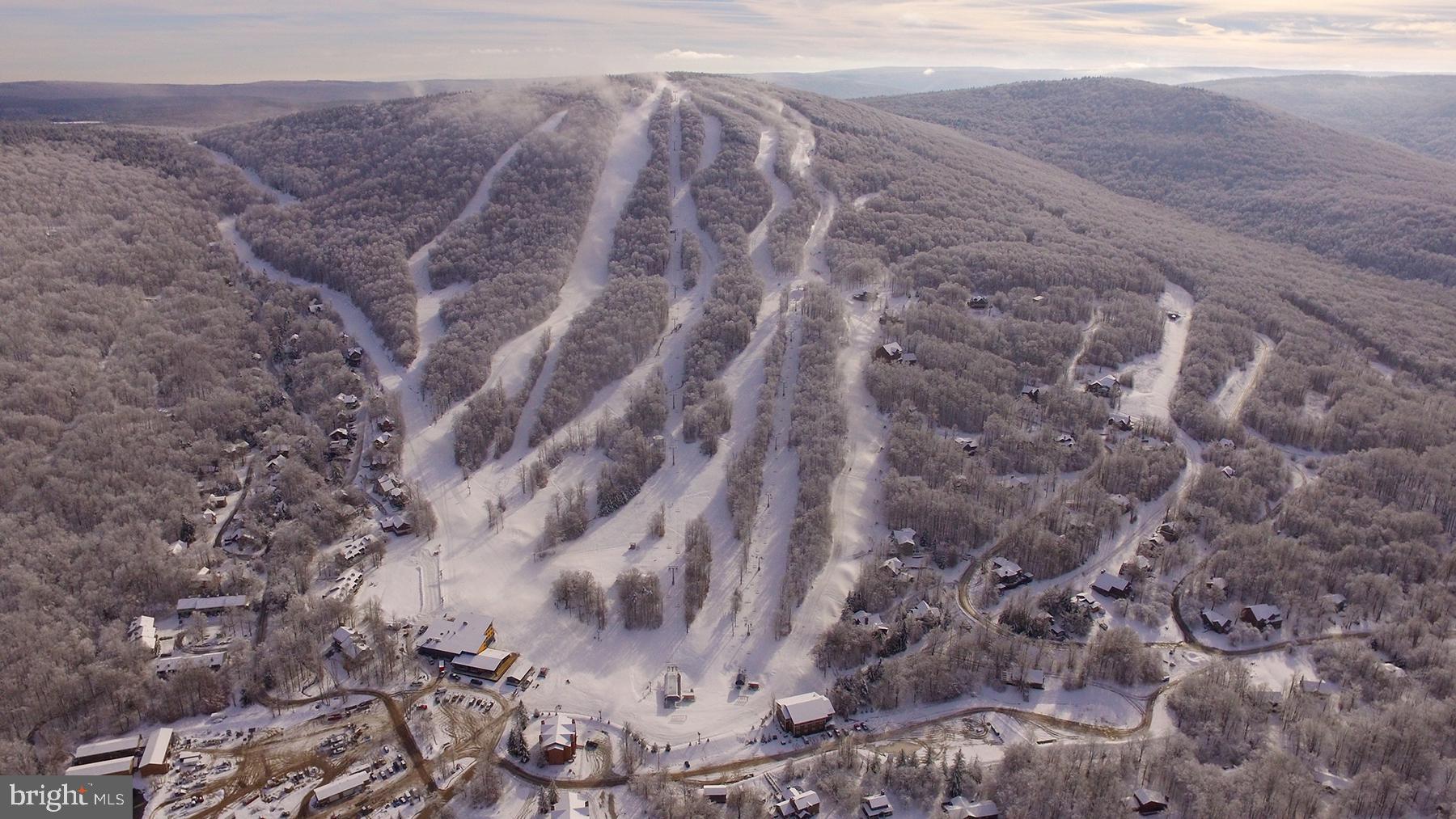 BLACK BEAR RESORT - Residential