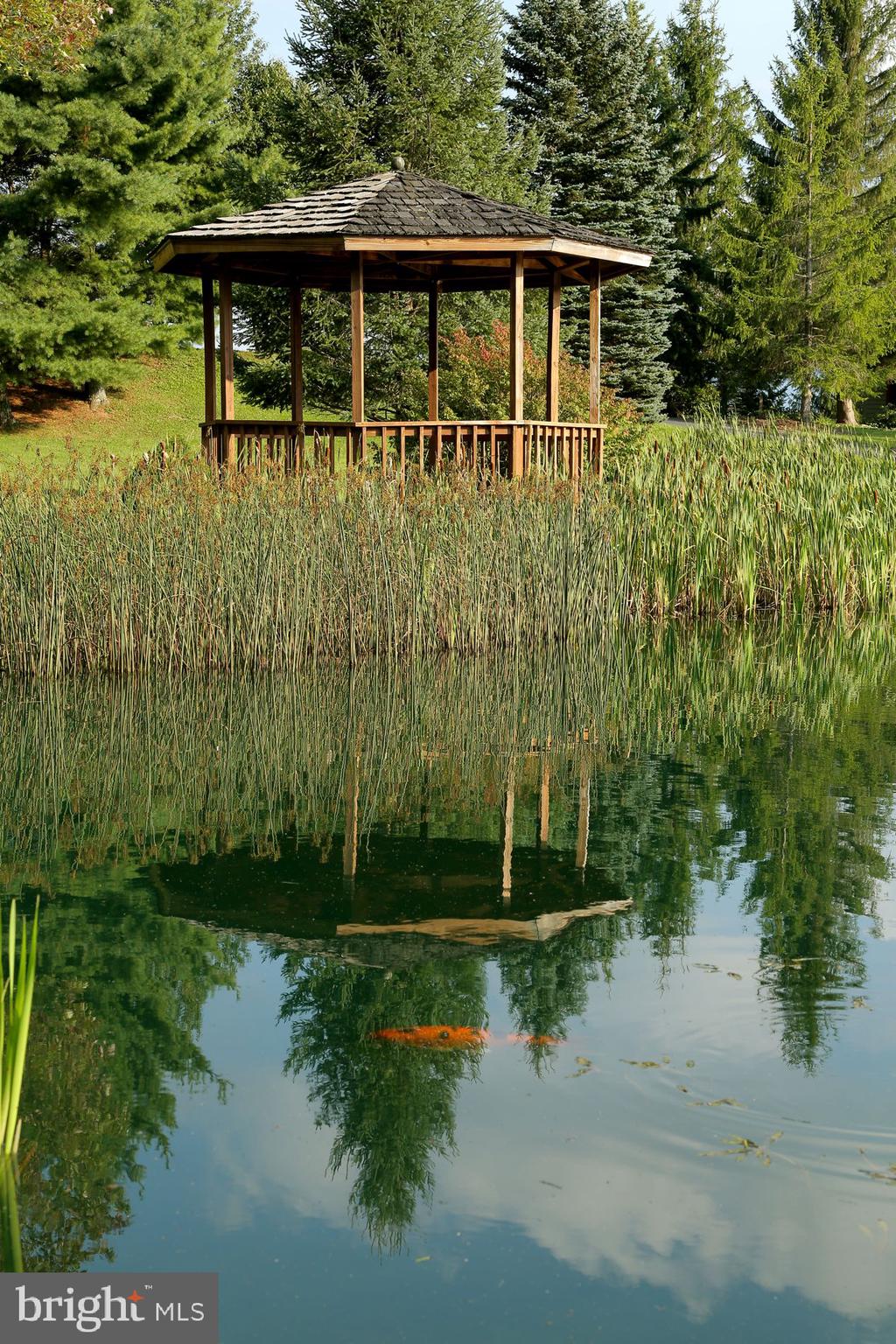 BLACK BEAR RESORT - Residential