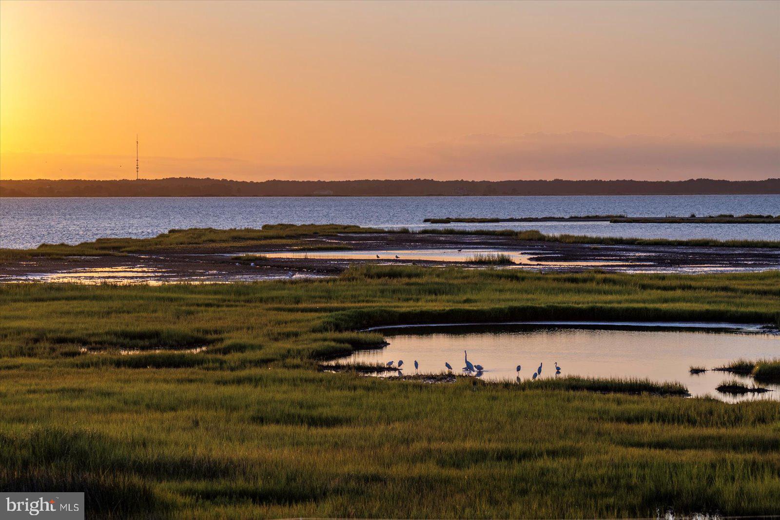 NON DEVELOPMENT - Residential