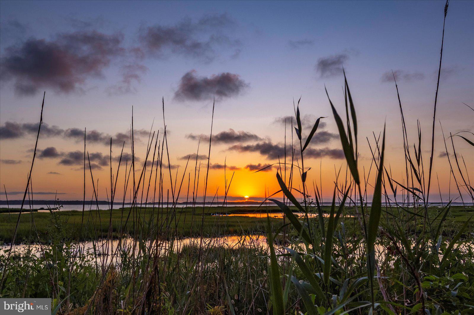 NON DEVELOPMENT - Residential