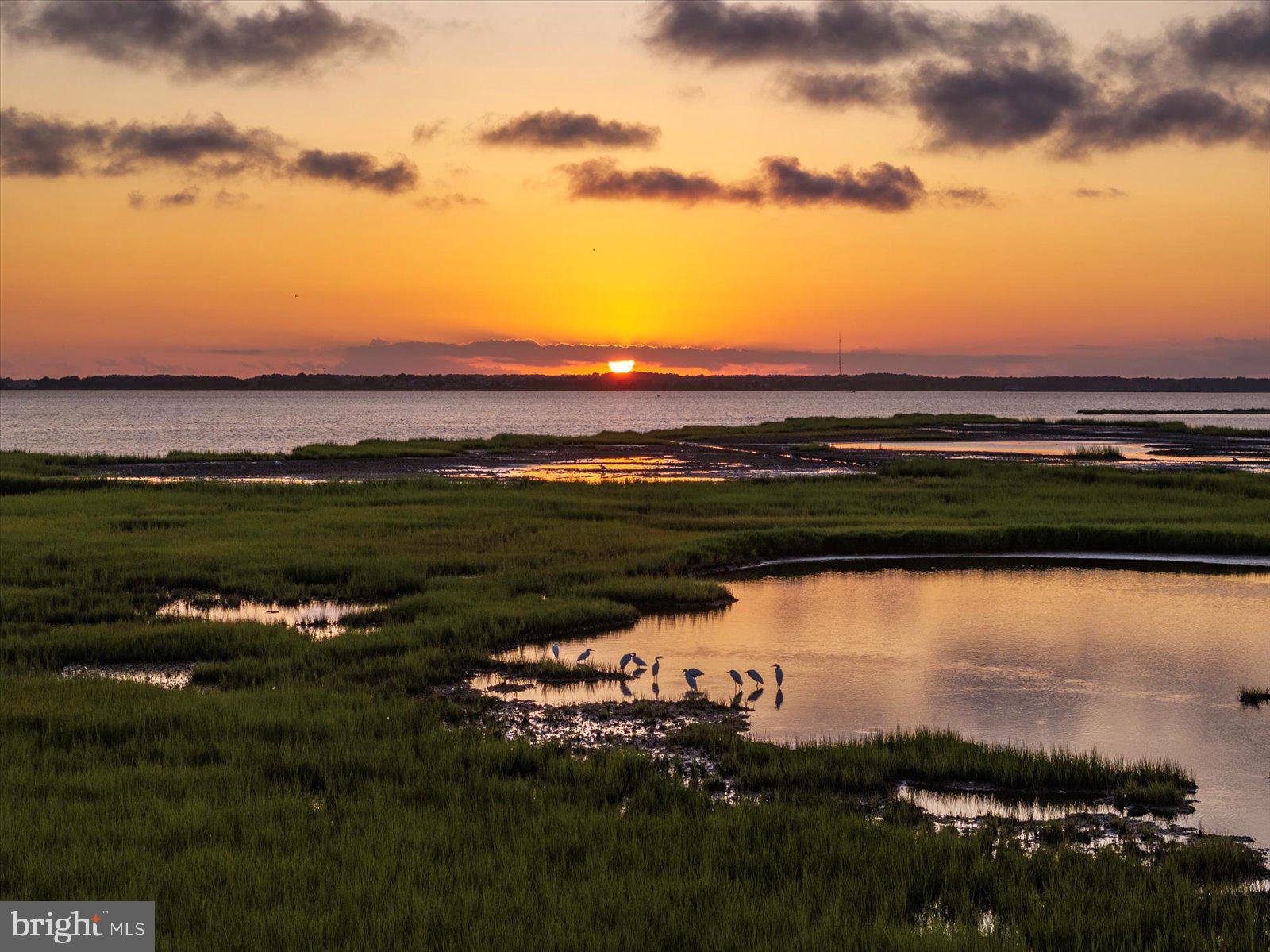 NON DEVELOPMENT - Residential