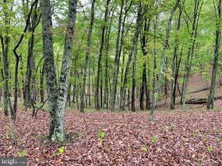 LONG ACRE ESTATES - Land