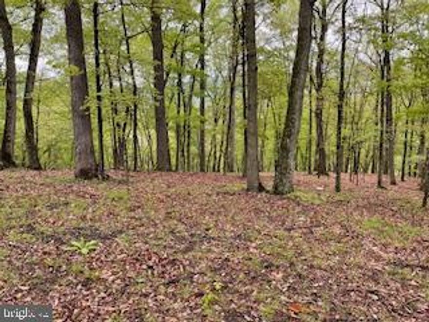 Welcome to your tranquil retreat, away from the hustle and bustle of everyday life. Nestled within the serene confines of Long Acre Estates, this expansive 6.855-acre wooded lot beckons you to unwind amidst nature's embrace. Equipped with essential amenities such as a well and electricity, this haven offers the perfect blend of comfort and wilderness immersion for your camper or tent adventures.
Situated in the picturesque landscape of Springfield, WV, just a stone's throw away from the historic charm of Romney, this property presents an ideal gateway to exploration. Discover the rich heritage of one of West Virginia's oldest cities, officially chartered in 1762, renowned for its iconic Potomac Eagle Scenic Railroad excursions and significant Civil War landmarks.
For outdoor enthusiasts, indulge in leisurely fishing escapades along the nearby South Branch of the Potomac River, creating cherished moments with loved ones. Cap off a day of angling with a delightful fish fry over an open campfire, complete with freshly fried potatoes, as you forge memories to last a lifetime.
With the option to gradually develop the land at your own pace, even while camping on-site, seize the opportunity to manifest your vision of a permanent retreat. Don't miss your chance to secure this remarkable property before it vanishes from the market. Act swiftly, as opportunities like this are rare and fleeting.