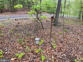 LONG ACRE ESTATES - Land