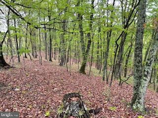 LONG ACRE ESTATES - Land