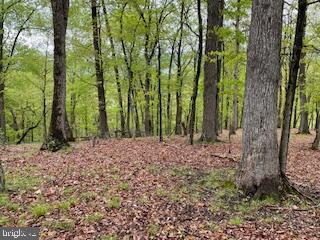 LONG ACRE ESTATES - Land