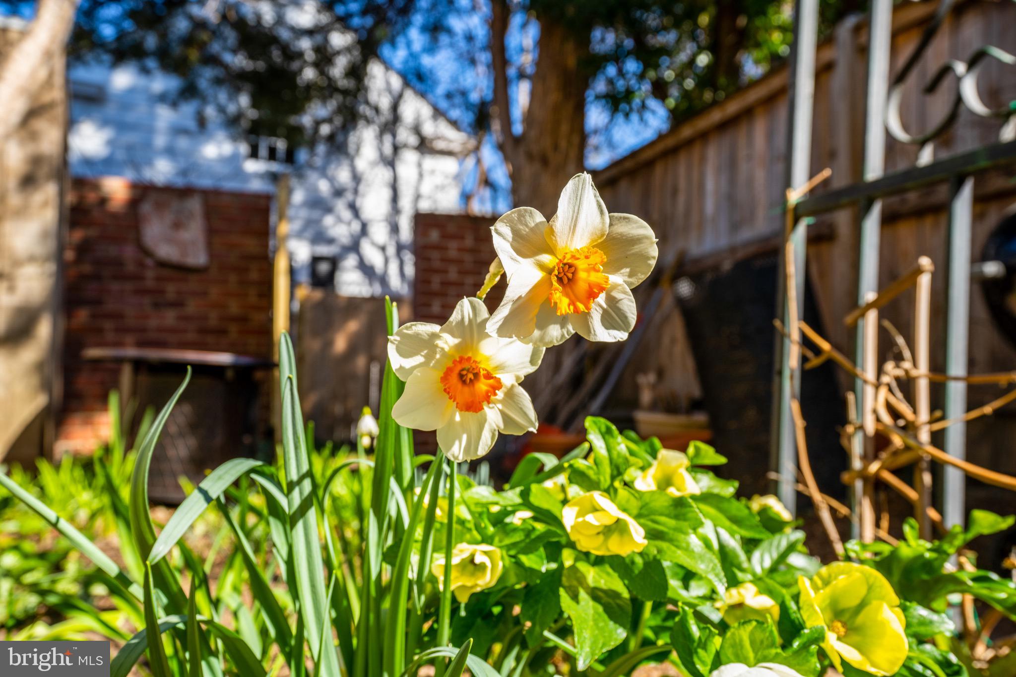 OLD TOWN - Residential