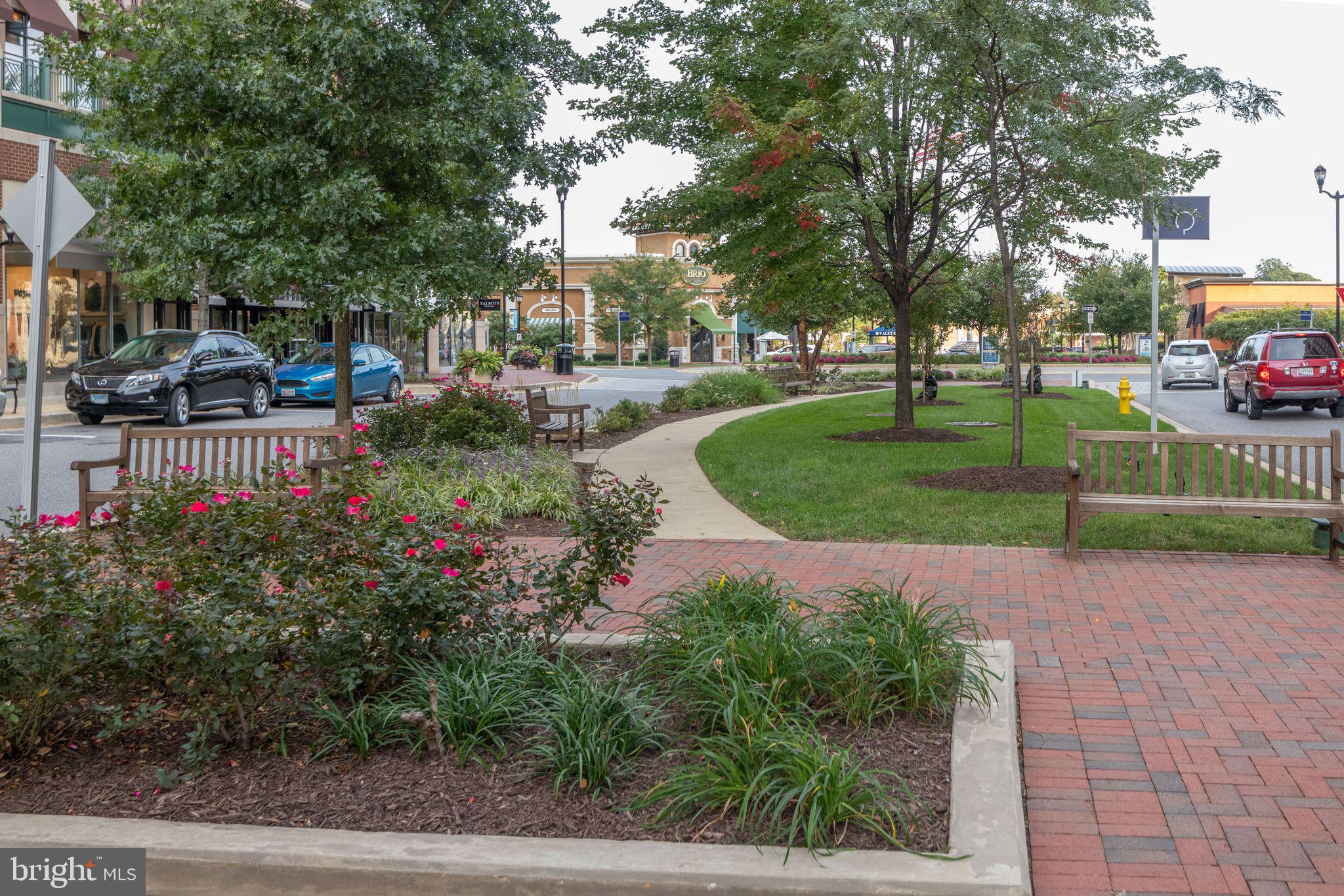 ANNAPOLIS TOWNE CENTRE - Residential
