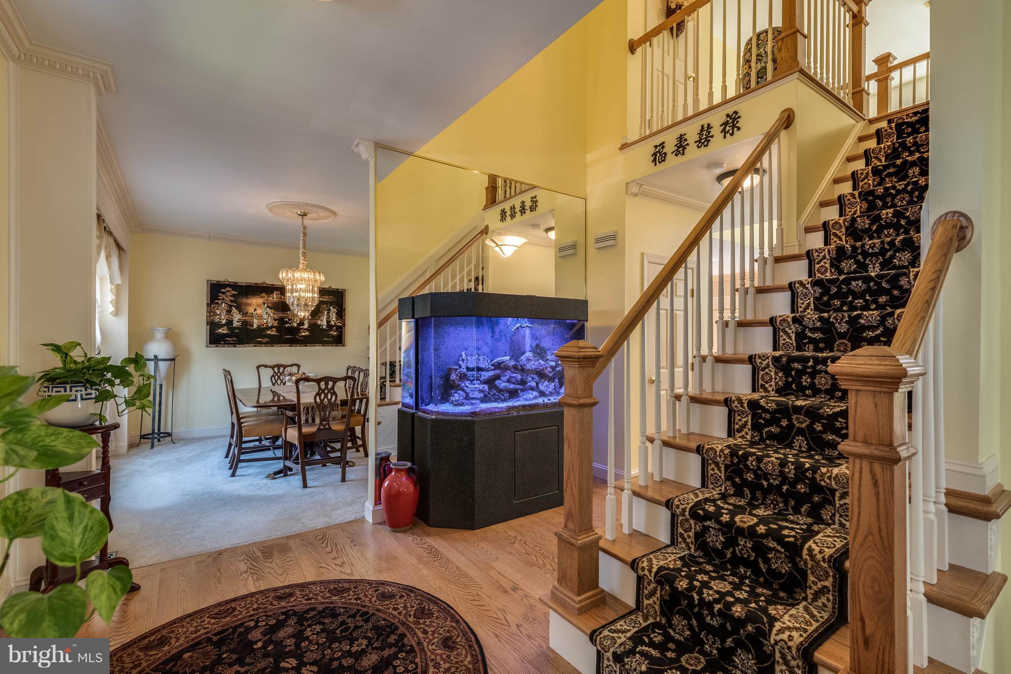 SHIPLEYS CHOICE - Residential