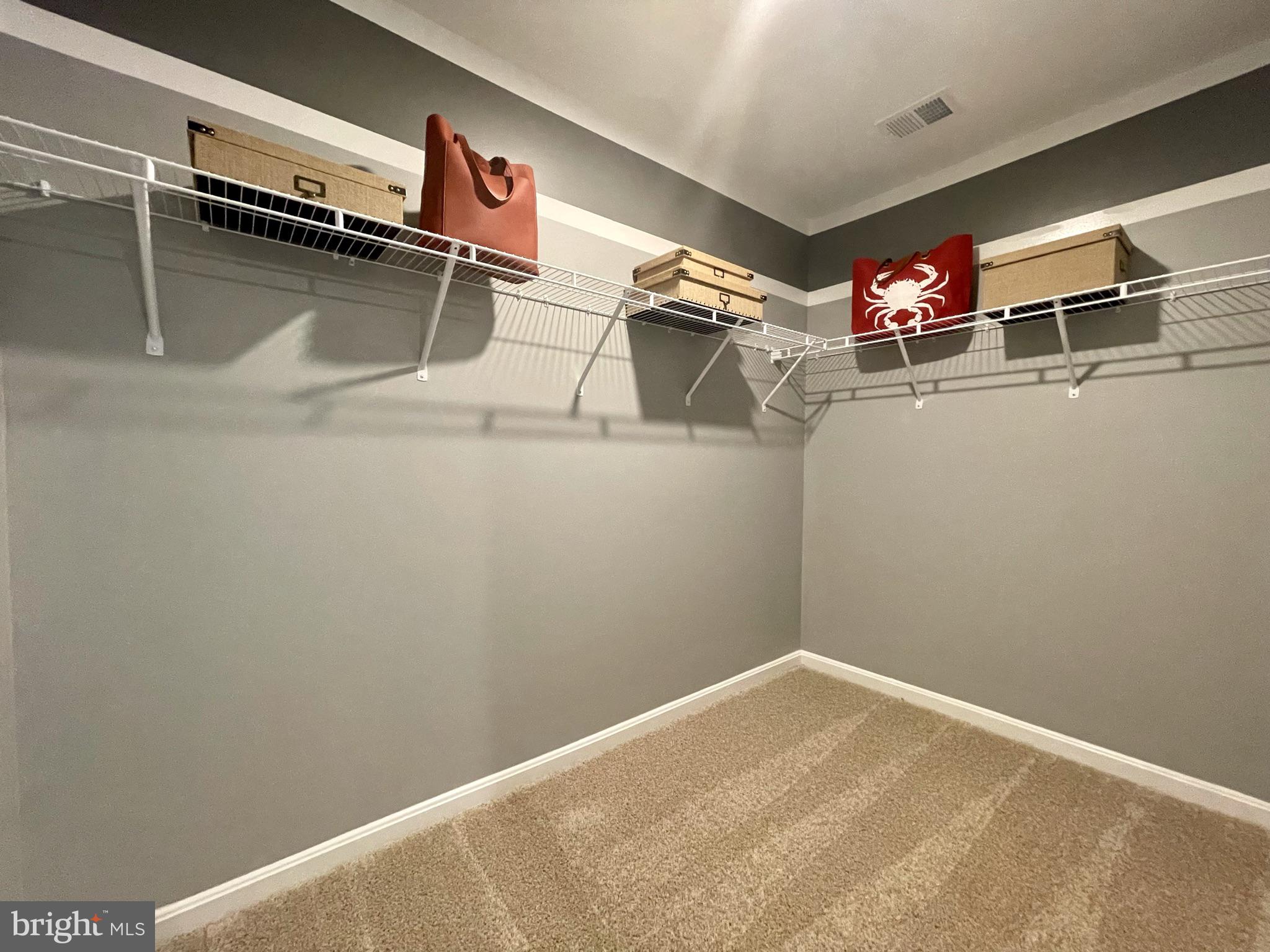 THE VILLAGE AT CHESTERTOWN - Residential