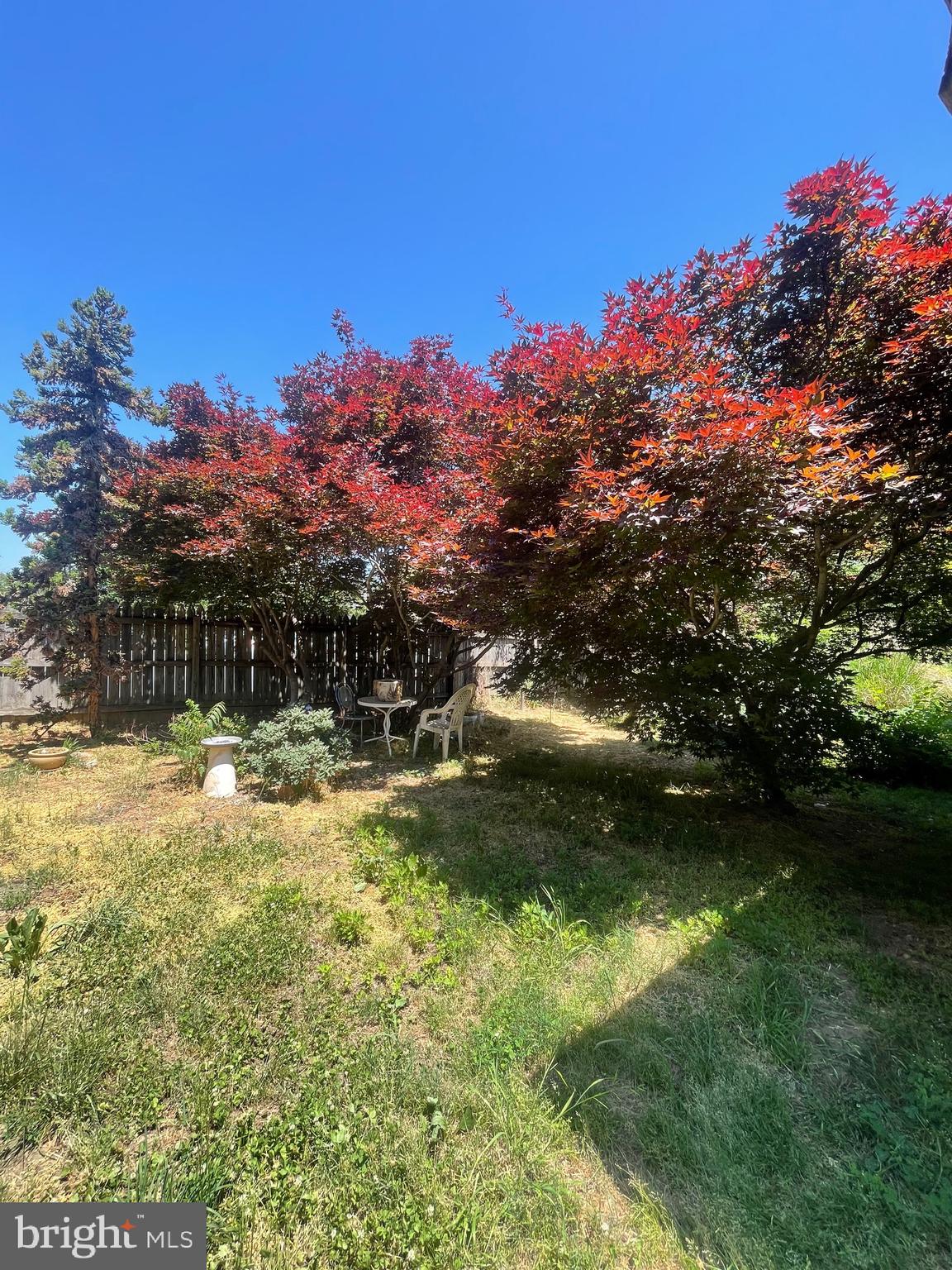 DOWNTOWN FREDERICKSBURG - Residential