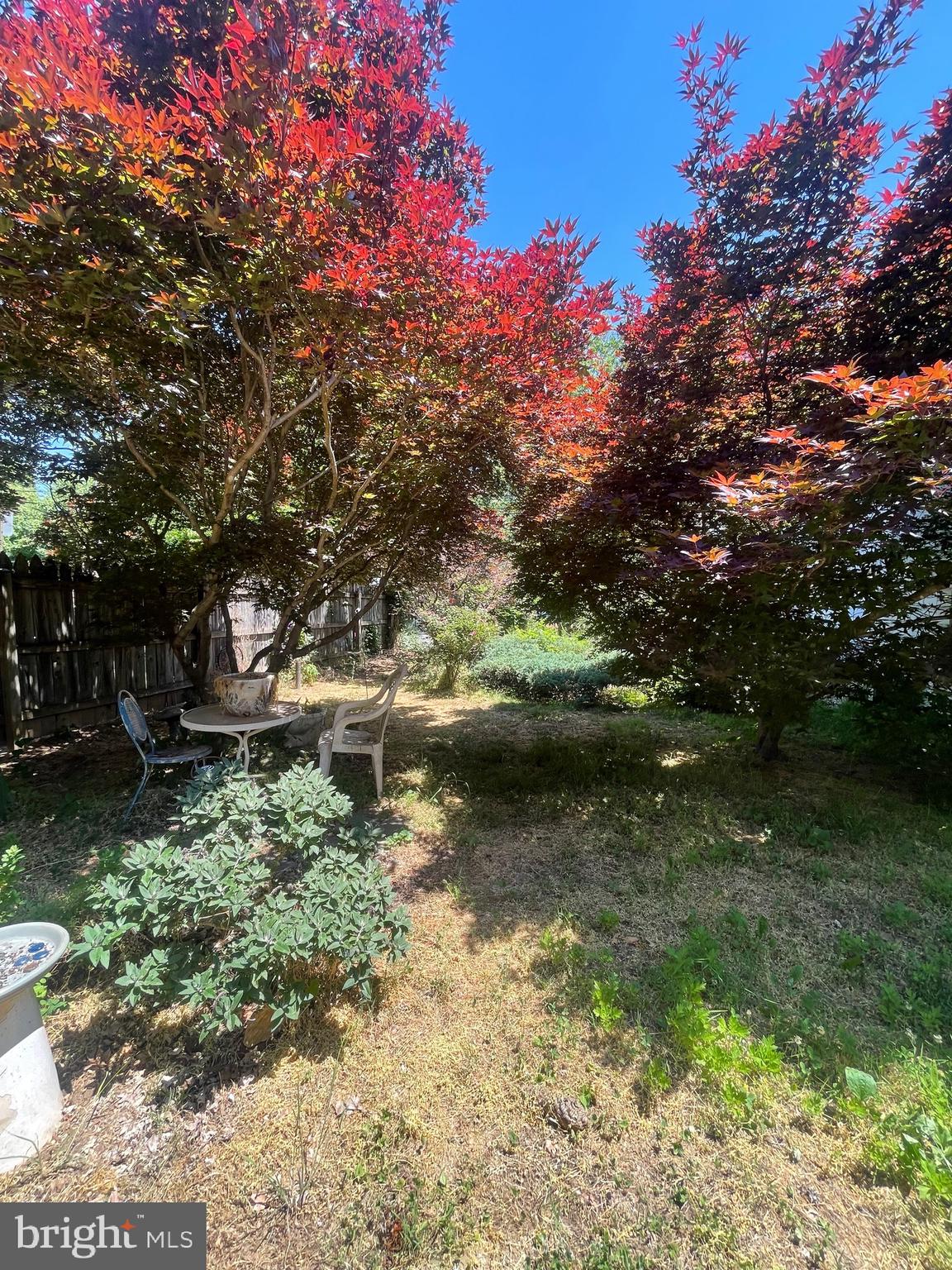 DOWNTOWN FREDERICKSBURG - Residential