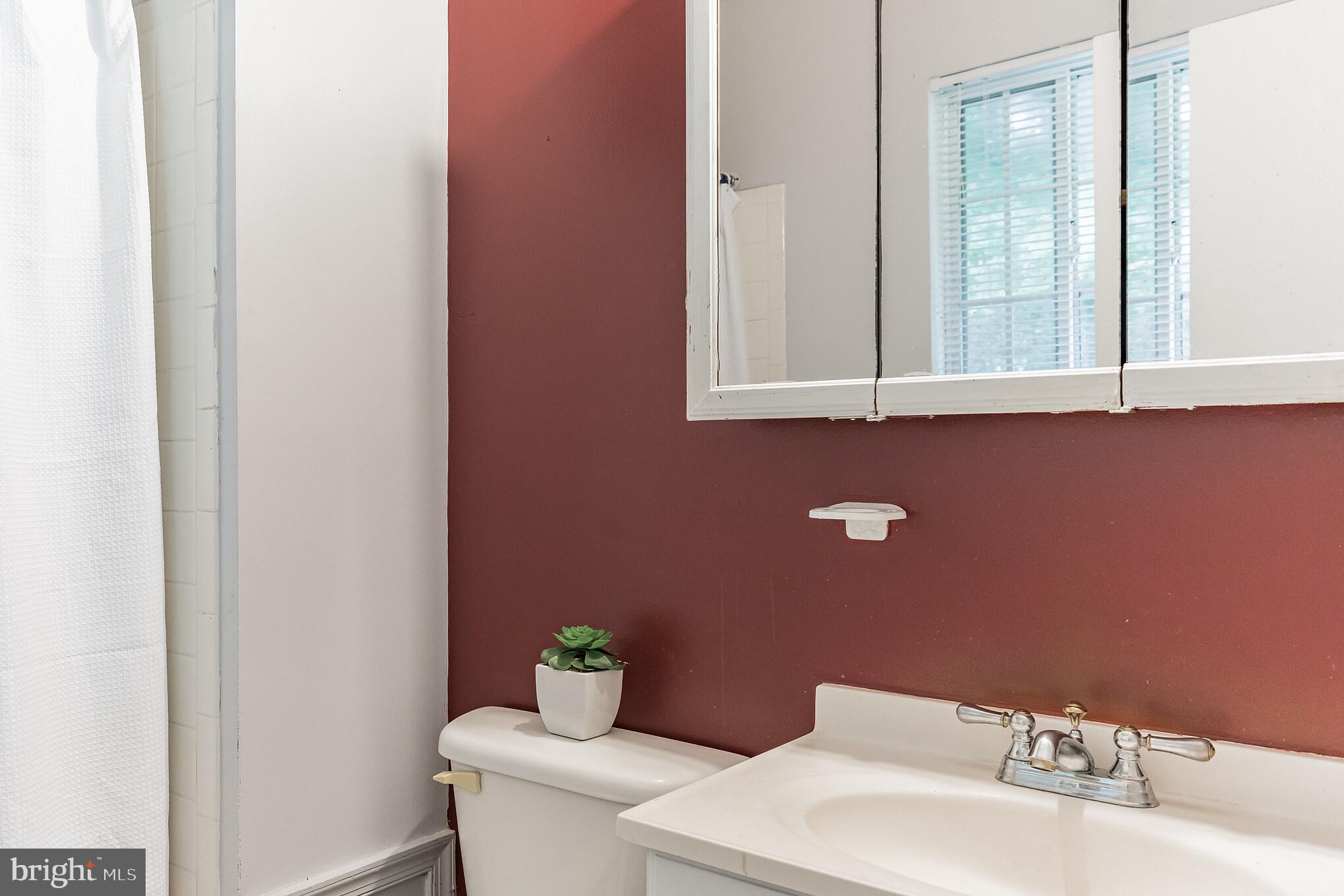 PINE TREE - Residential