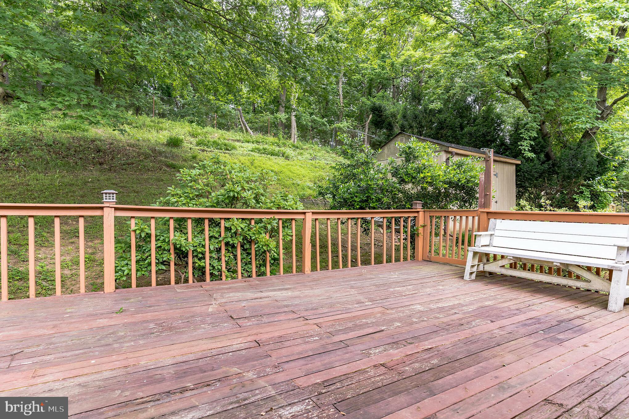 PINE TREE - Residential