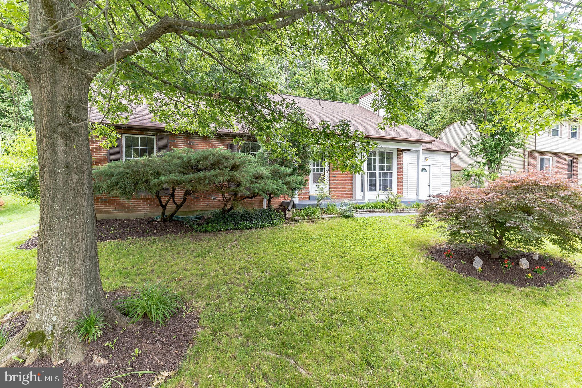 PINE TREE - Residential