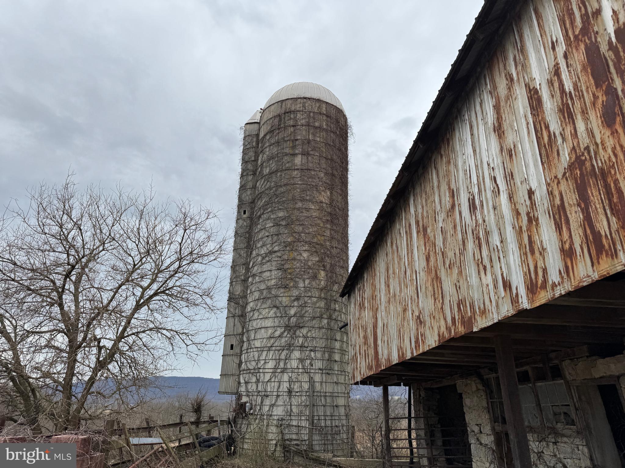 NONE AVAILABLE - Farm