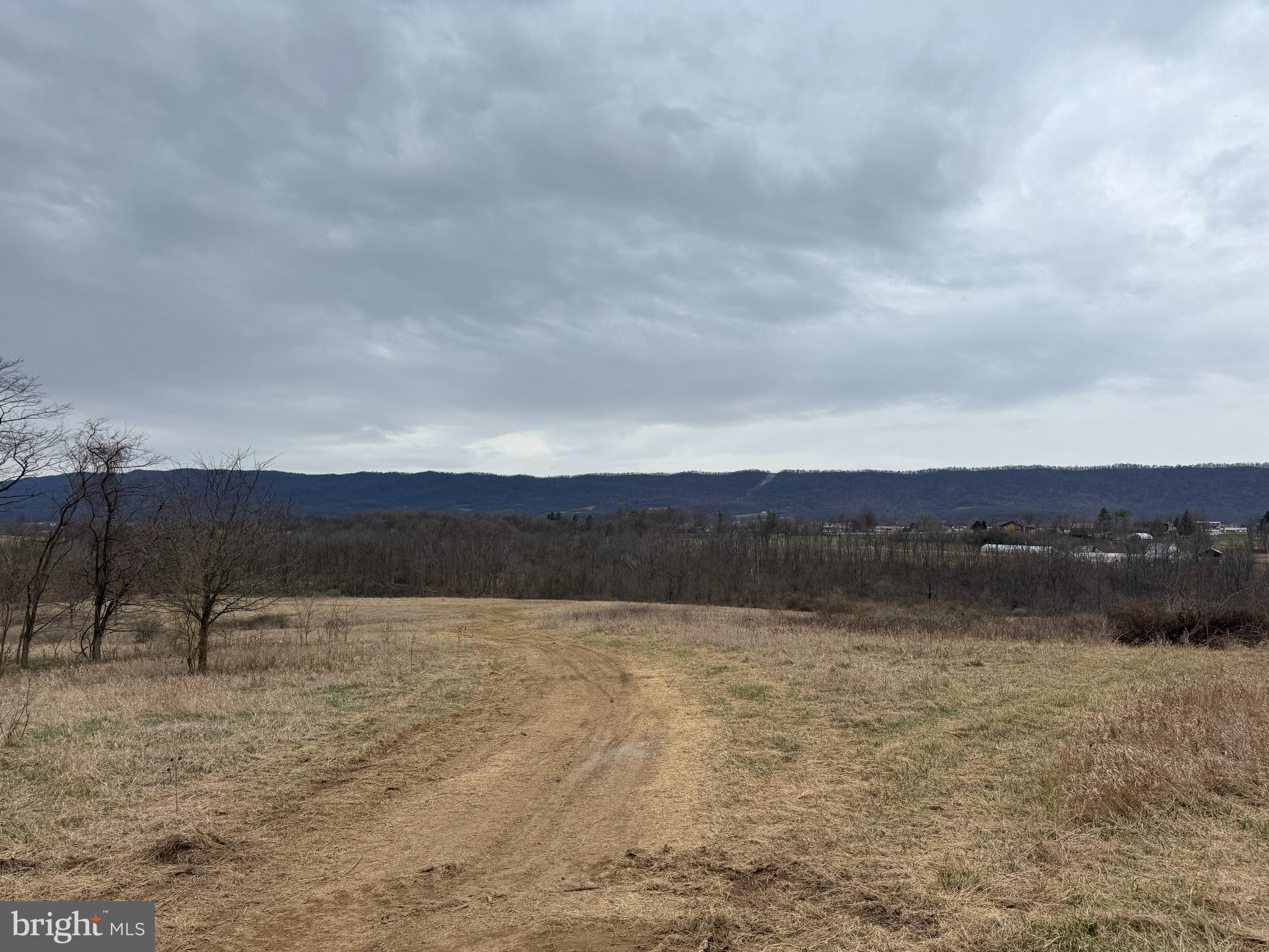 NONE AVAILABLE - Farm