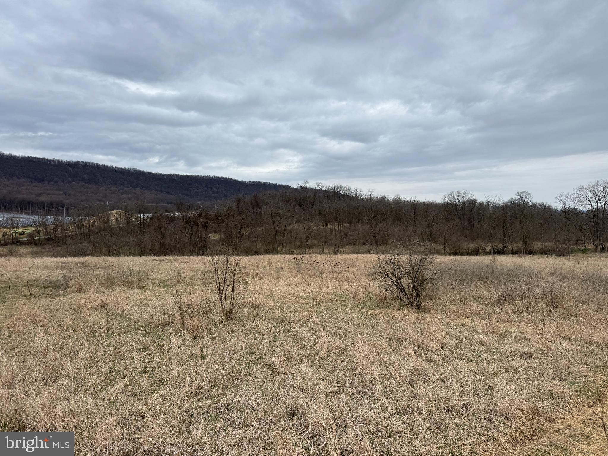 NONE AVAILABLE - Farm