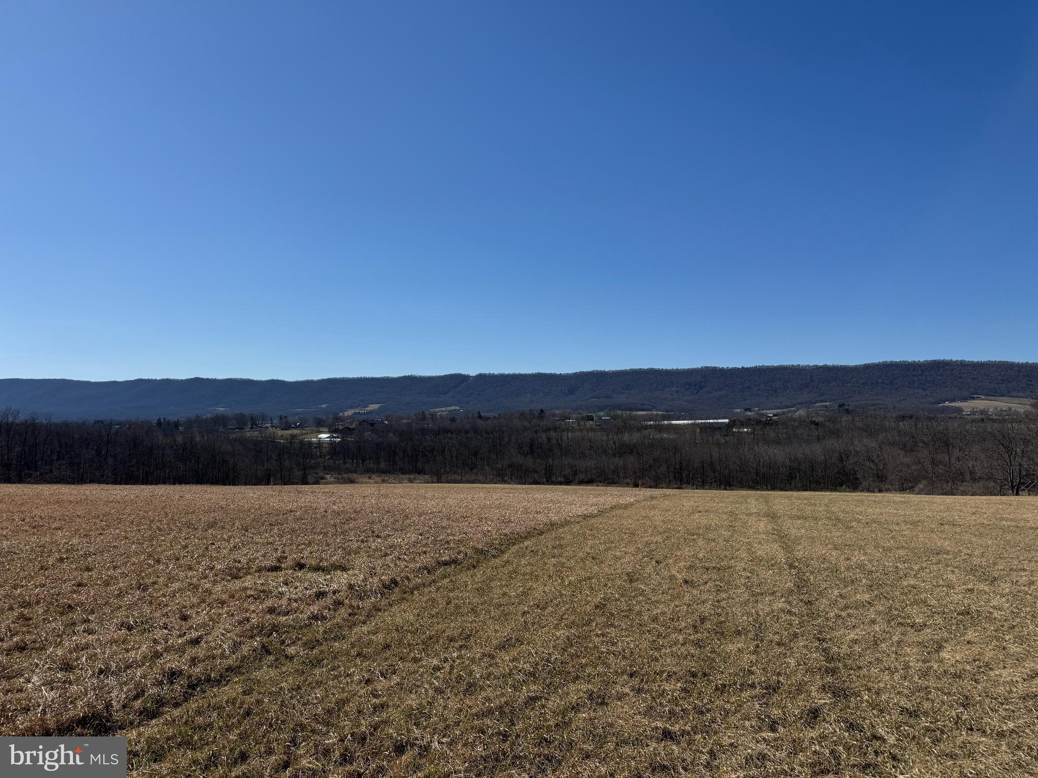 NONE AVAILABLE - Farm